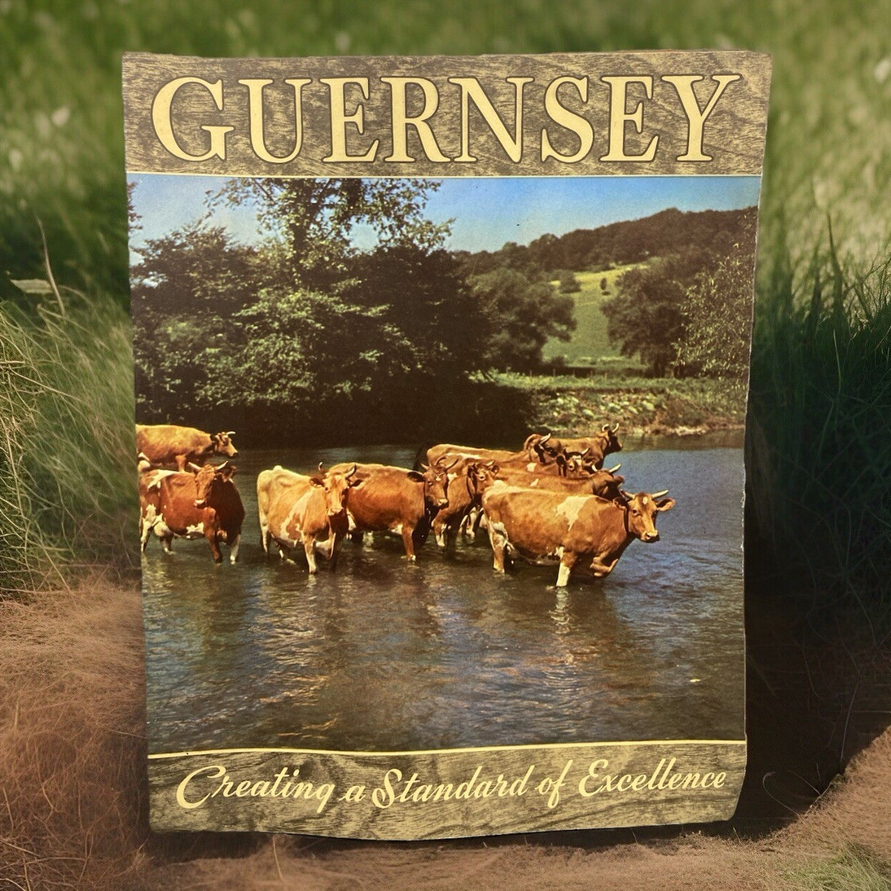 American Guernsey Cattle Club Booklet « Creating a Standard of Excellence »