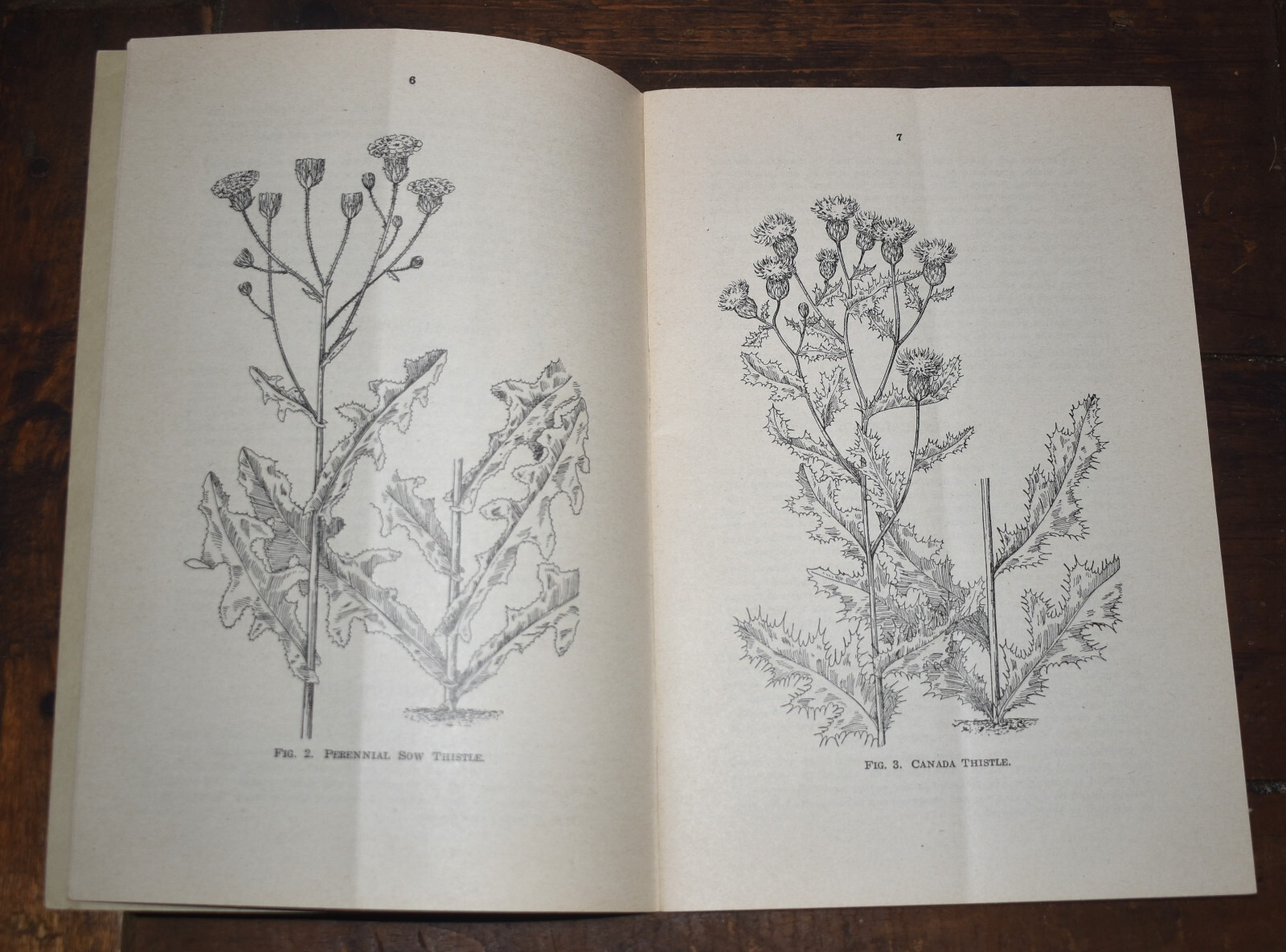 Vintage 1943 Iowa Dept of Agriculture Laws Relating to Noxious Weeds Book