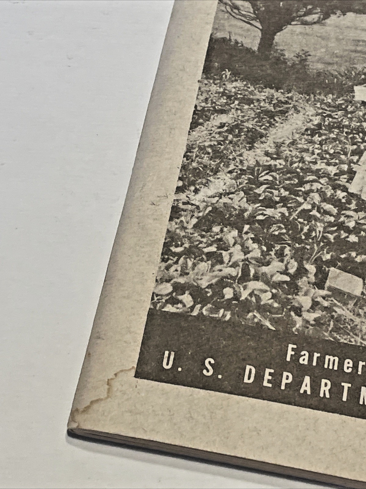 U.S. DEPARTMENT OF AGRICULTURE BROCHURE GROWING FRUIT FOR HOME USE 1948 VINTAGE