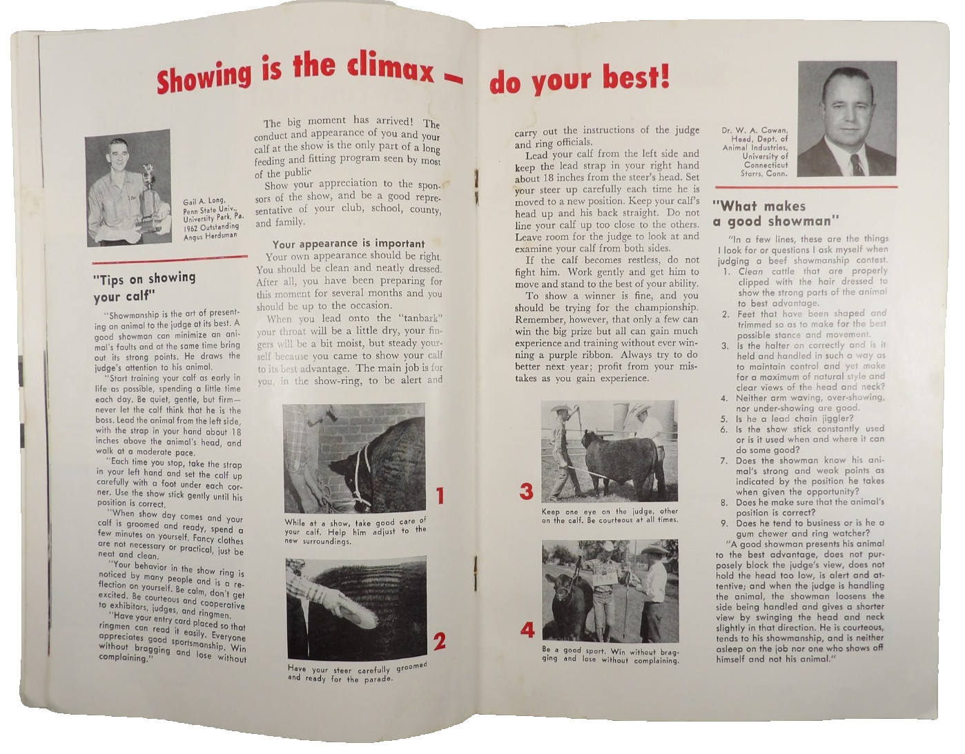American Angus Association ~ Star of Your Future 1960&rsquo;s
