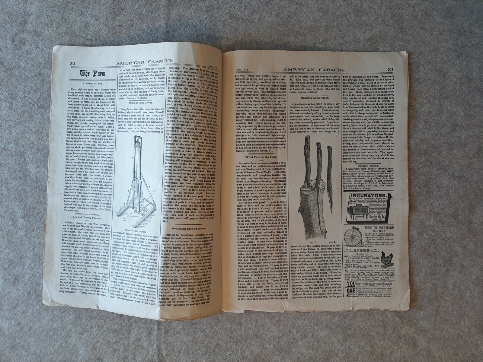 Jan. 1888 AMERICAN FARMER Magazine Fort Wayne Indiana No. 1 Vol. 8 Galloway Bull