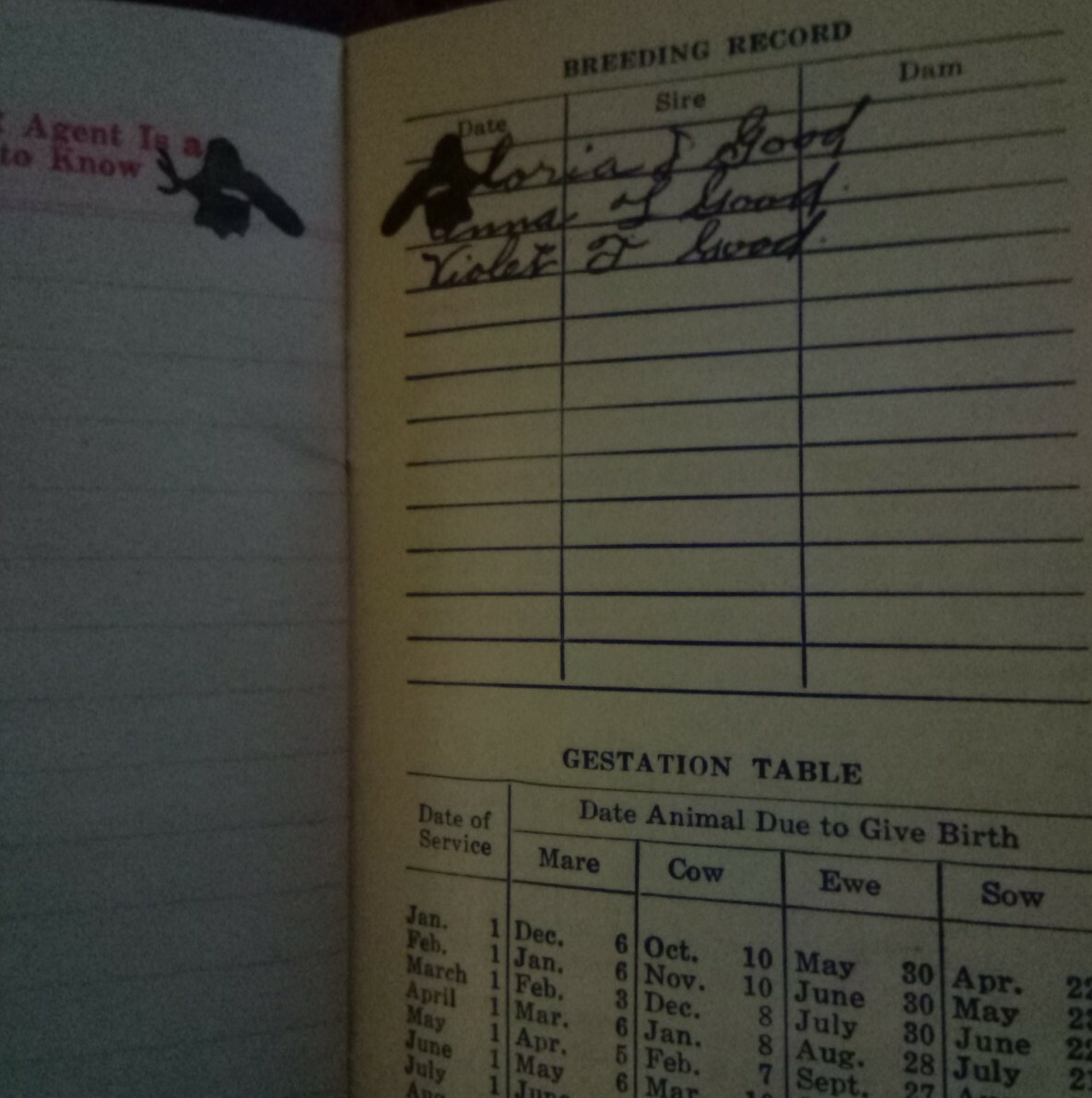 Royster Fertilizer Notebook Memo Book 1954