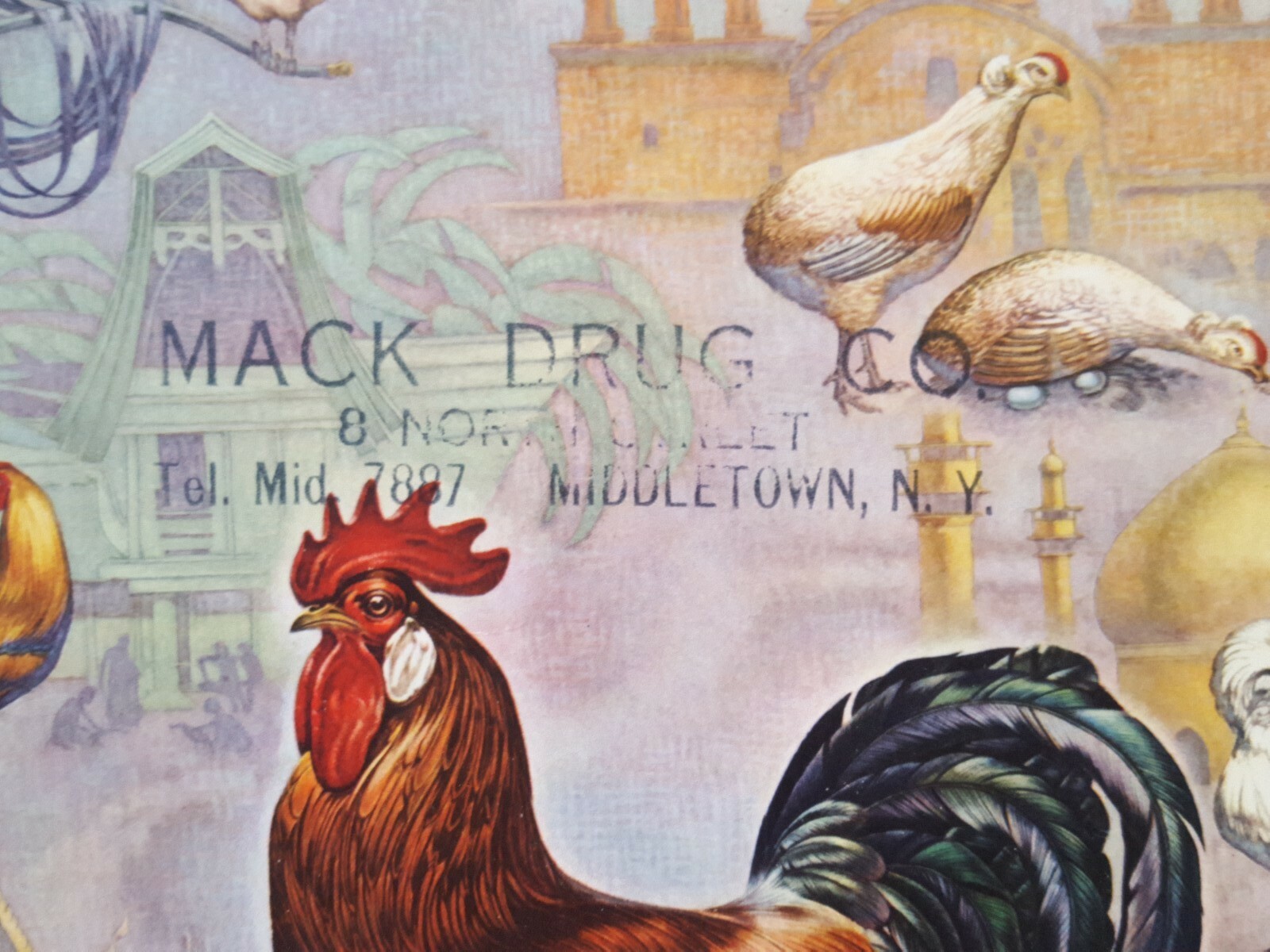 Lederle Labs * Control Of Poultry Diseases Mack Drug Co Middletown New York 1951
