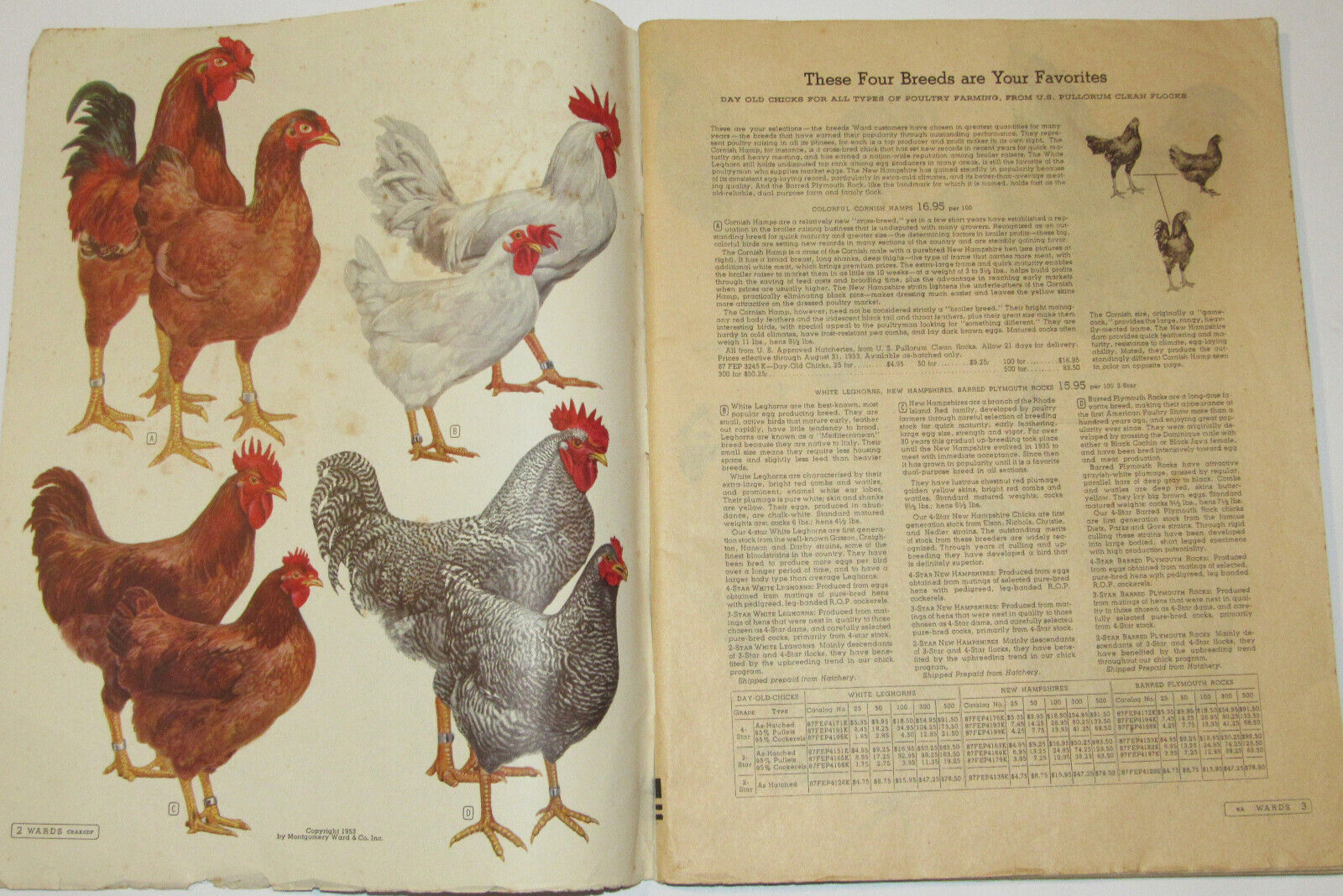 VTG 1953 MONTGOMERY WARD FARM CATALOG! HORSE DRAWN EQ/TOOLS/BEE KEEPING/CHICKENS