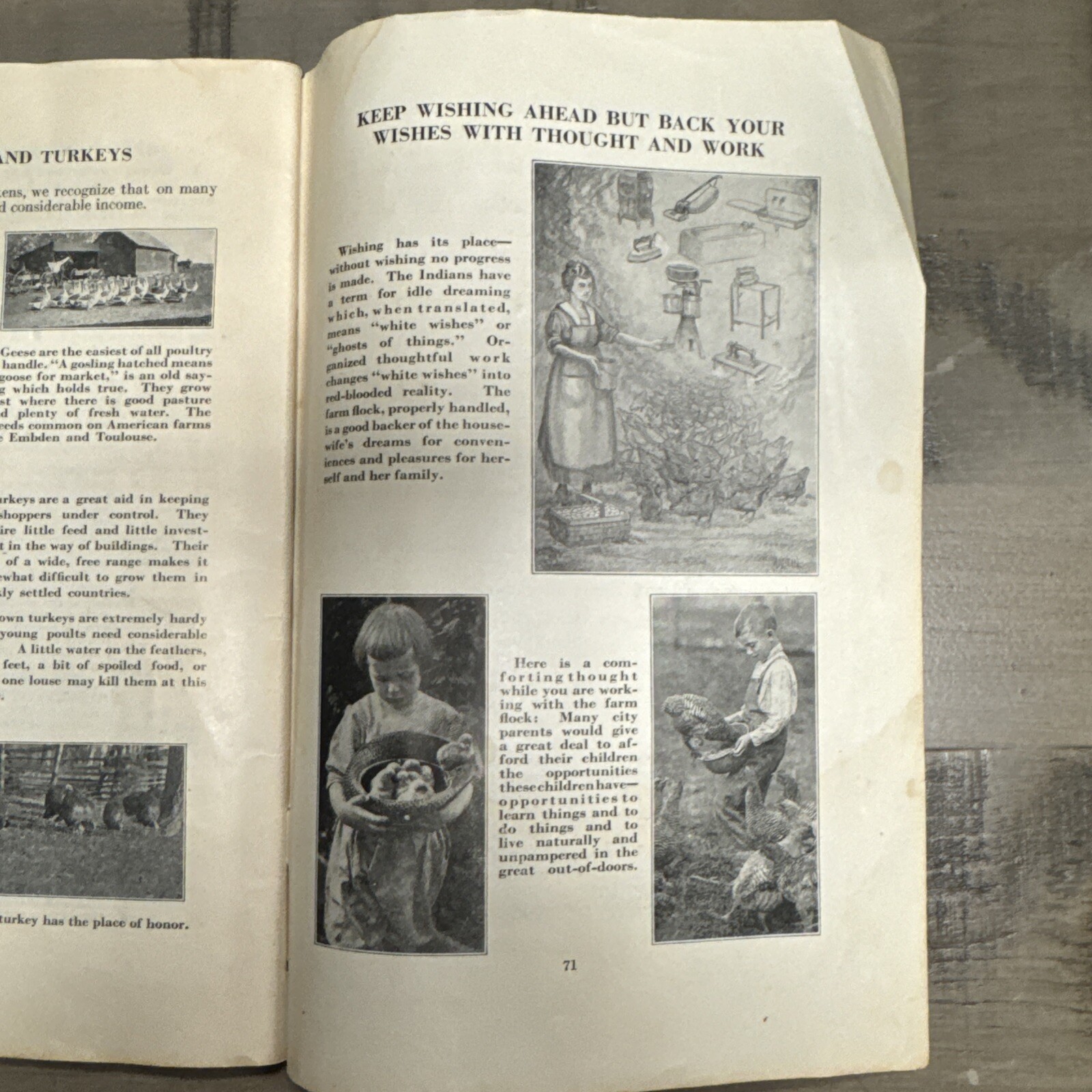 1926 Farm Poultry Pays International Harvester Company Booklet