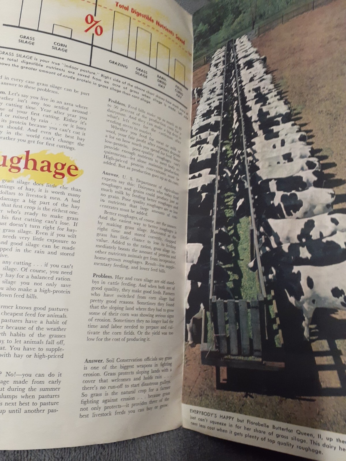 New Holland Handbooks – Indoor Pasture and Feeding Grass Dated 1952