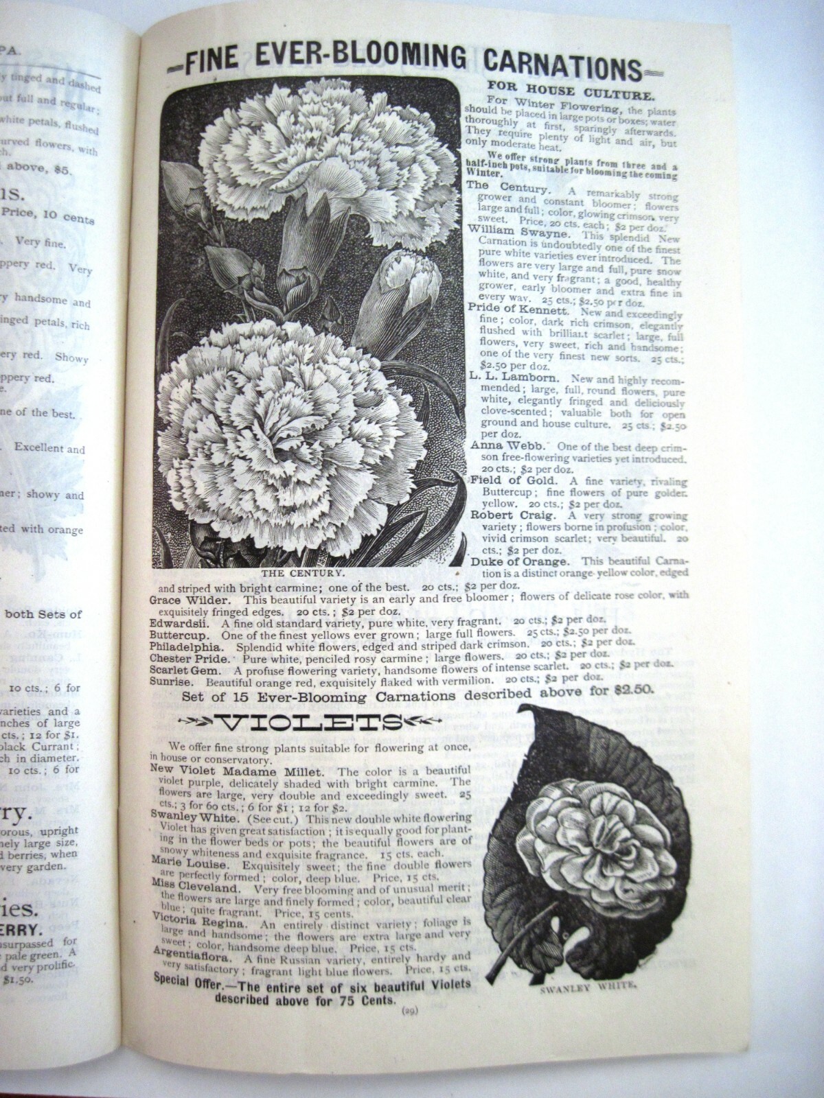 1889 Catalog « New Autumn Guide » for Holland Bulbs, Roses & Lilies & Seeds *