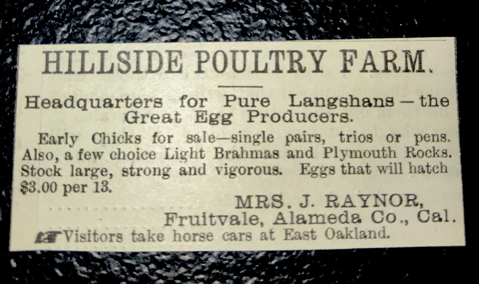 1885 Hillside Poultry Yard Chicken Farm Advertising – Fruitvale – California