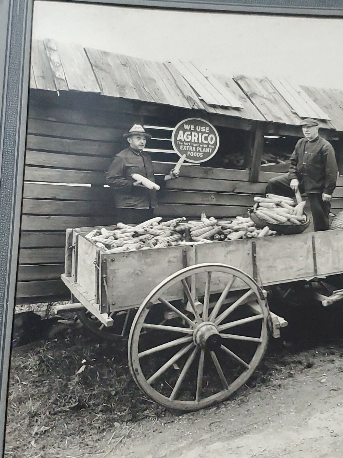 Vintage 14×11.5 1890s 2 Farmers Horse Wagon Wagon Photo Arico Feeds