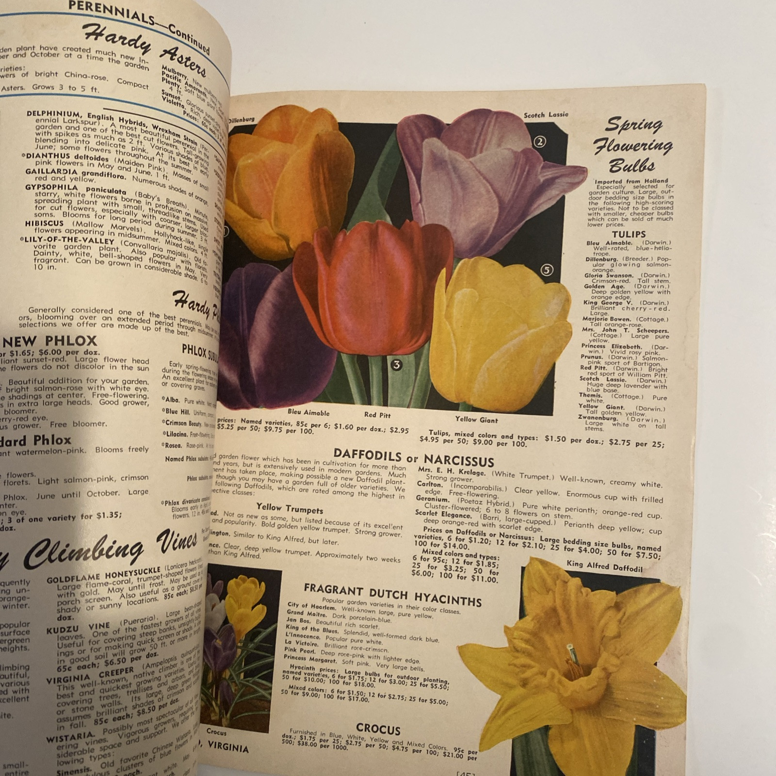 1952 VINTAGE WAYNESBORO NURSERIES FLOWER FRUIT SEED PLANTING CATALOG 48 Pgs