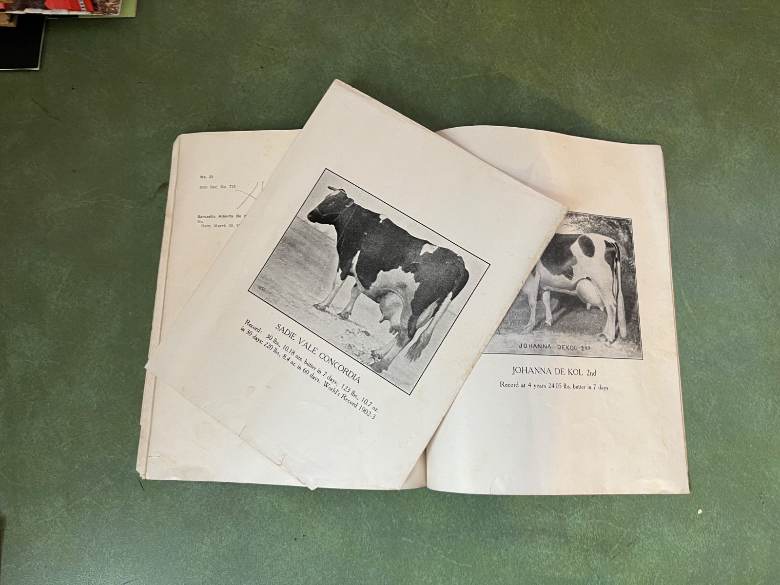 Original 1906 Holstein Friesian Cattle Auction Sales Catalog Pompton Plains NJ