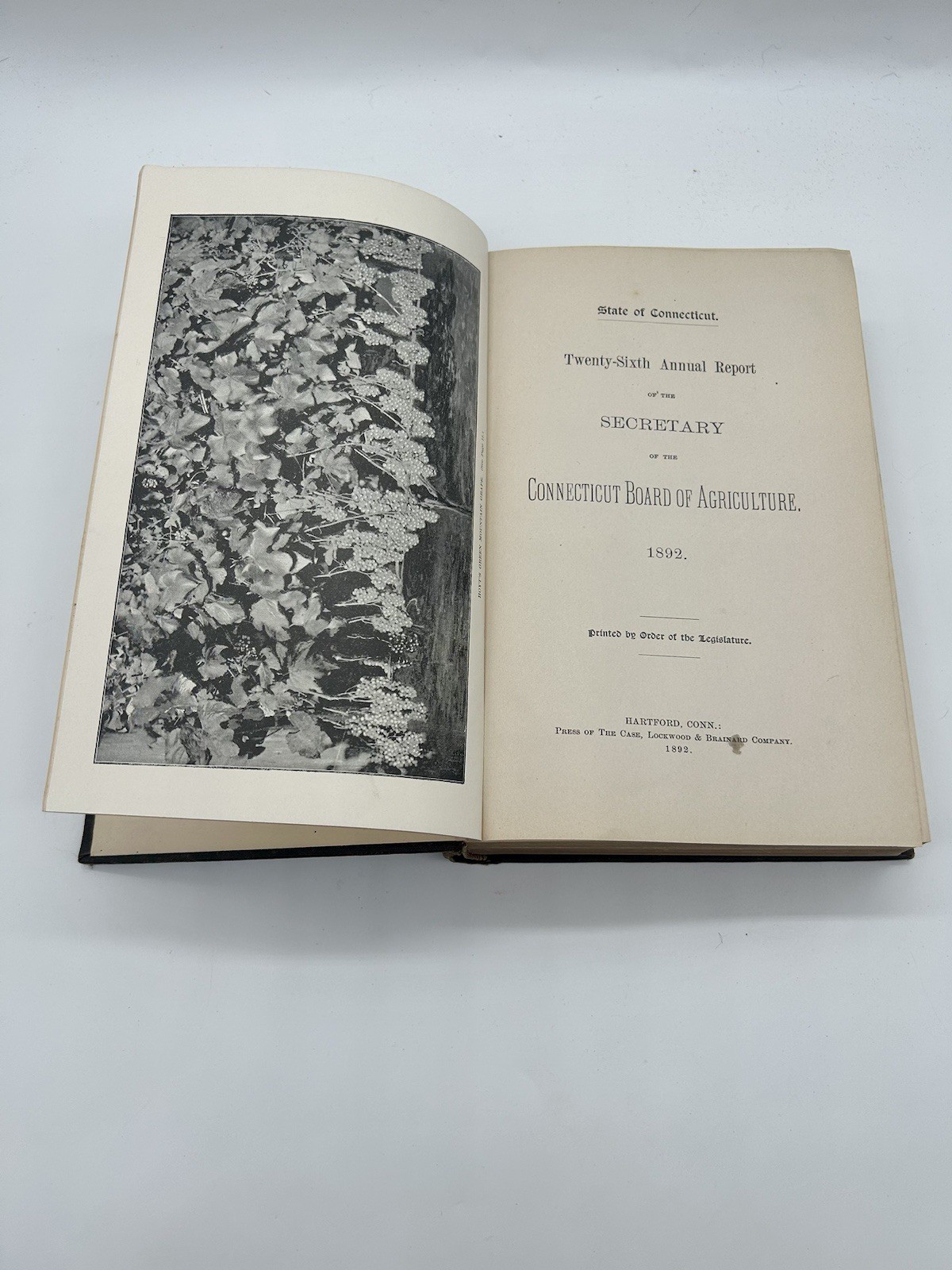 Report of Connecticut Board of Agriculture & Experiment Stations 1892 Antique