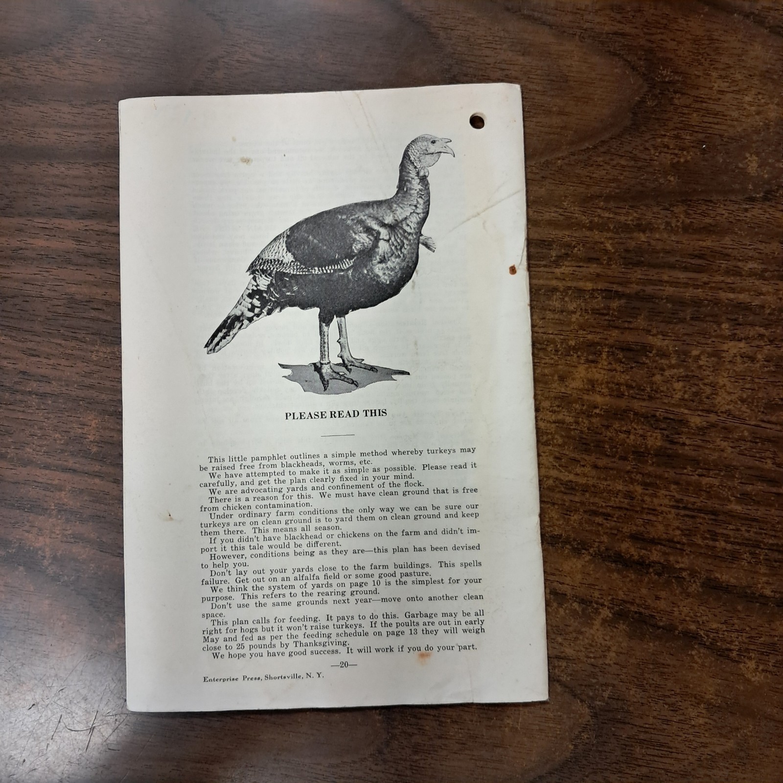 Vintage 1929 Turkey World Show Book & Talking Turkey Beacon Milling Co. N.Y.