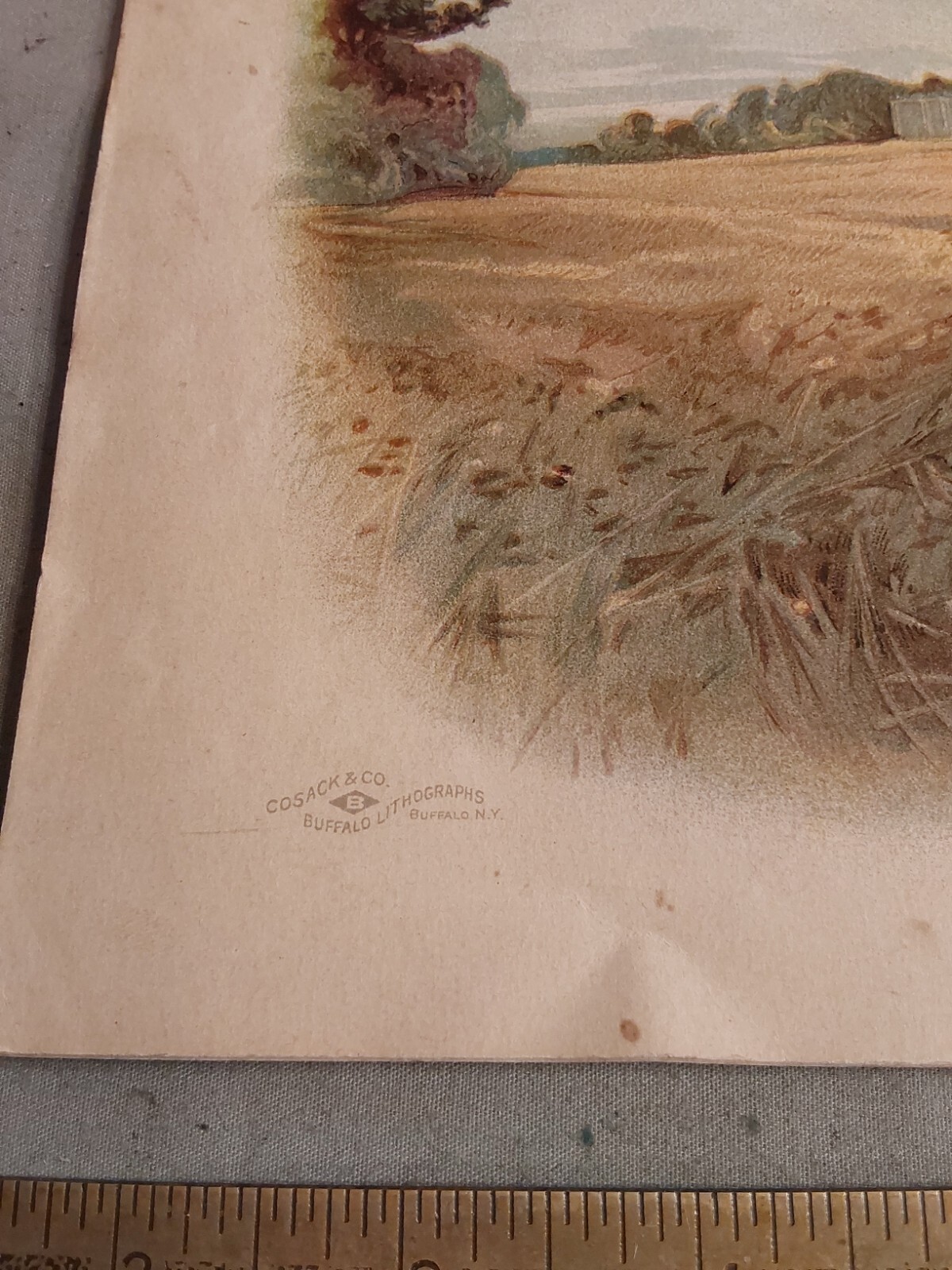 1893 WALTER A. WOOD MOWING & REAPING MACHINE,HOOSICK FALLS, NY, BROCHURE CATALOG
