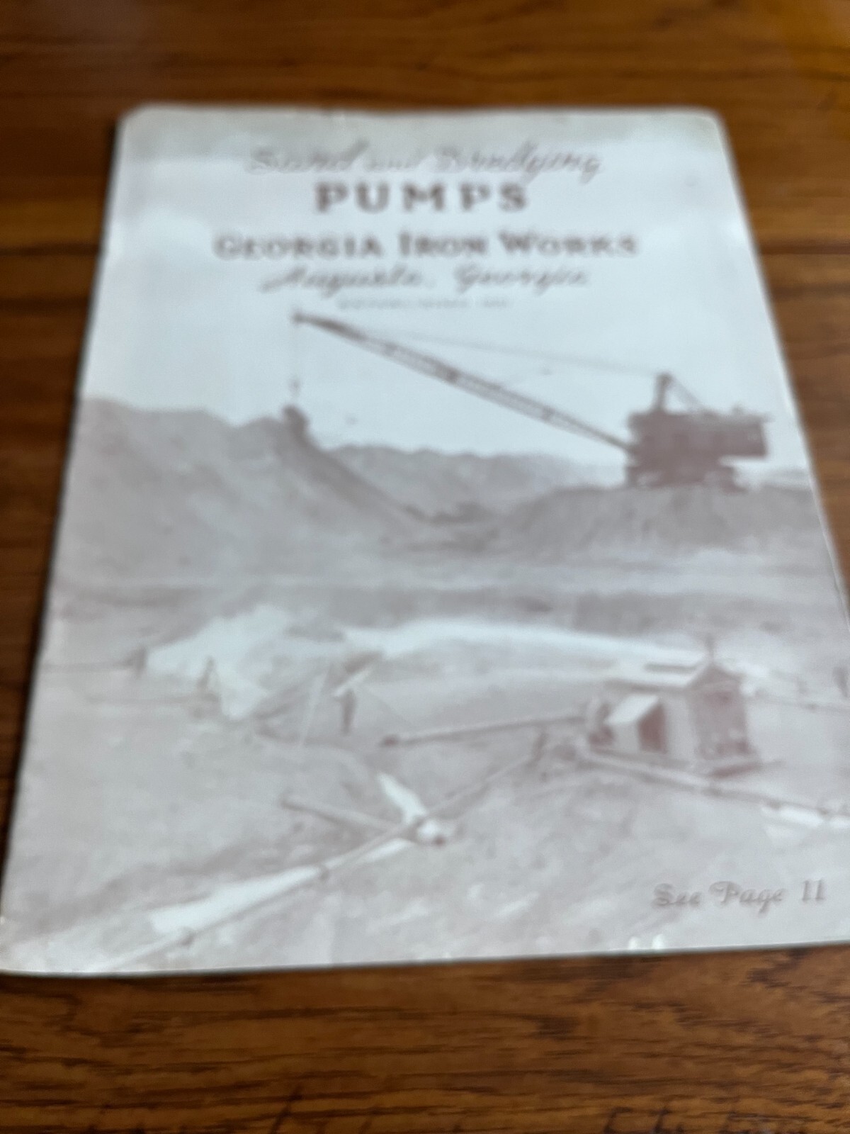 Georgia Iron Works Sand & Dredging Pumps Brochure FCCA