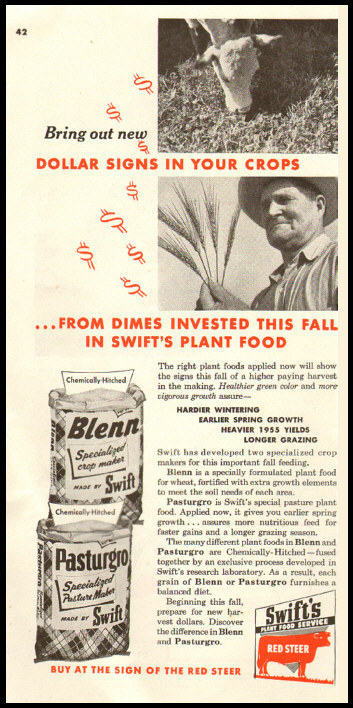 1951 vintage ad for Swift&rsquo;s Plant Food Red Steer -122