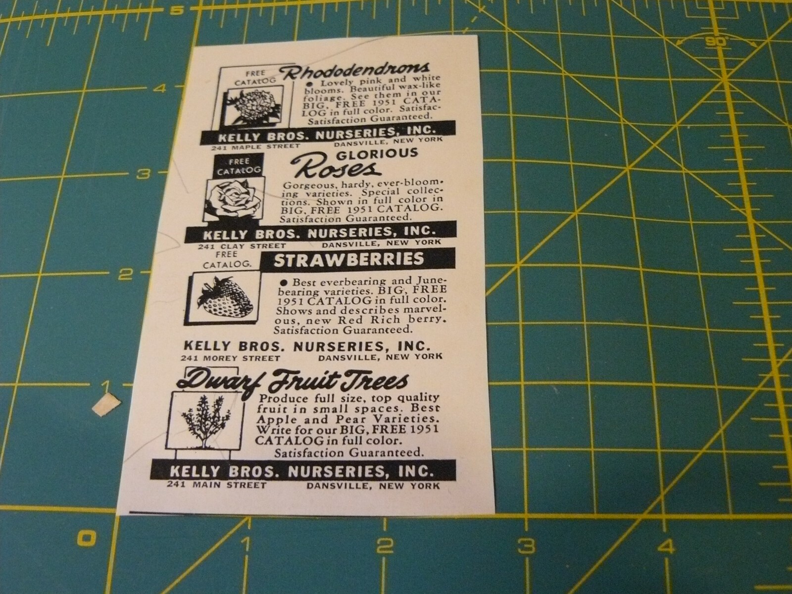 The FARM QUARTERLY -AD -SPRING 1951- KELLY BROS. NURSERIES Danville, NY