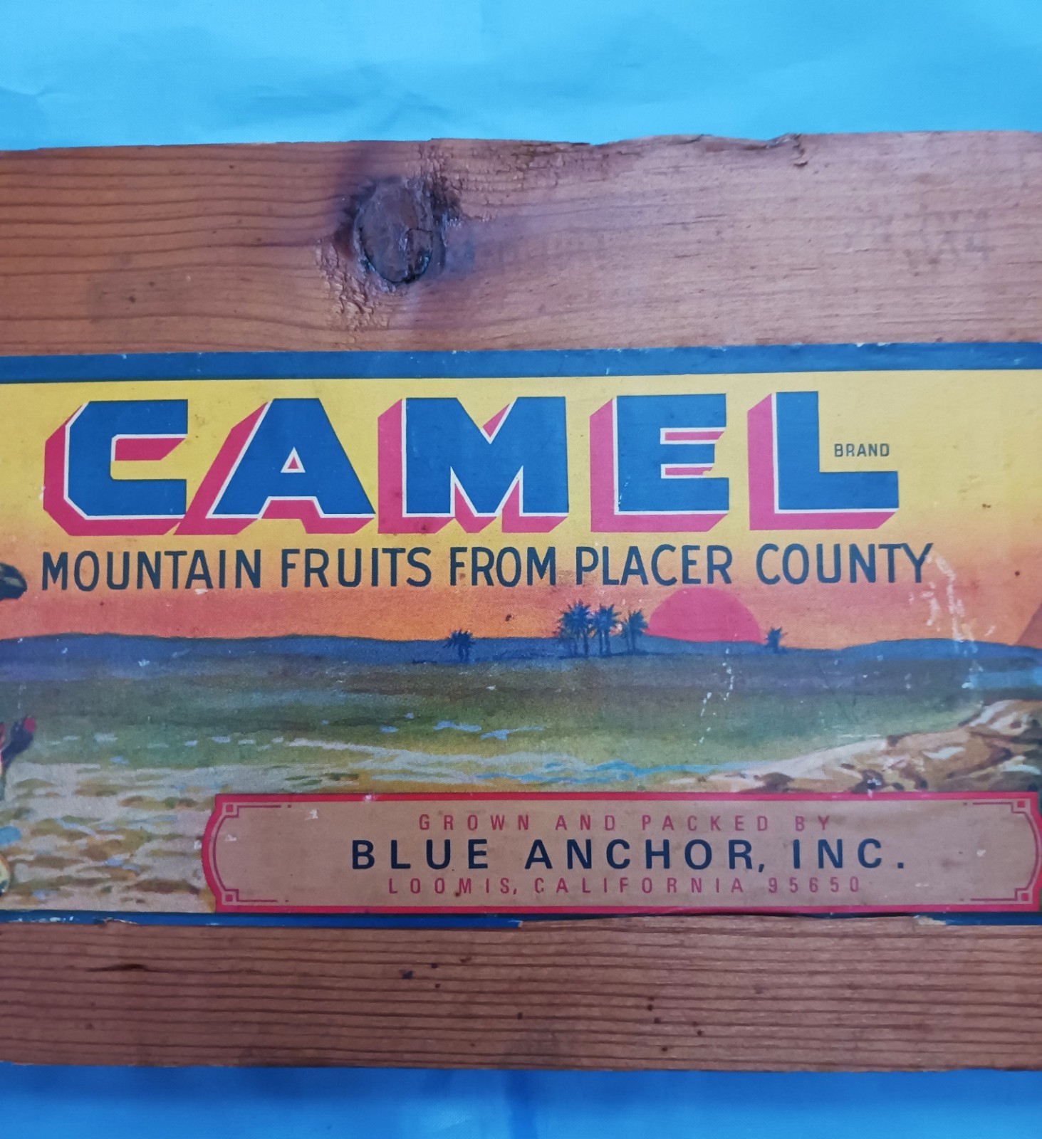 Vintage CAMEL Mountain Fruits Placer County Wood Crate Piece Blue Anchor
