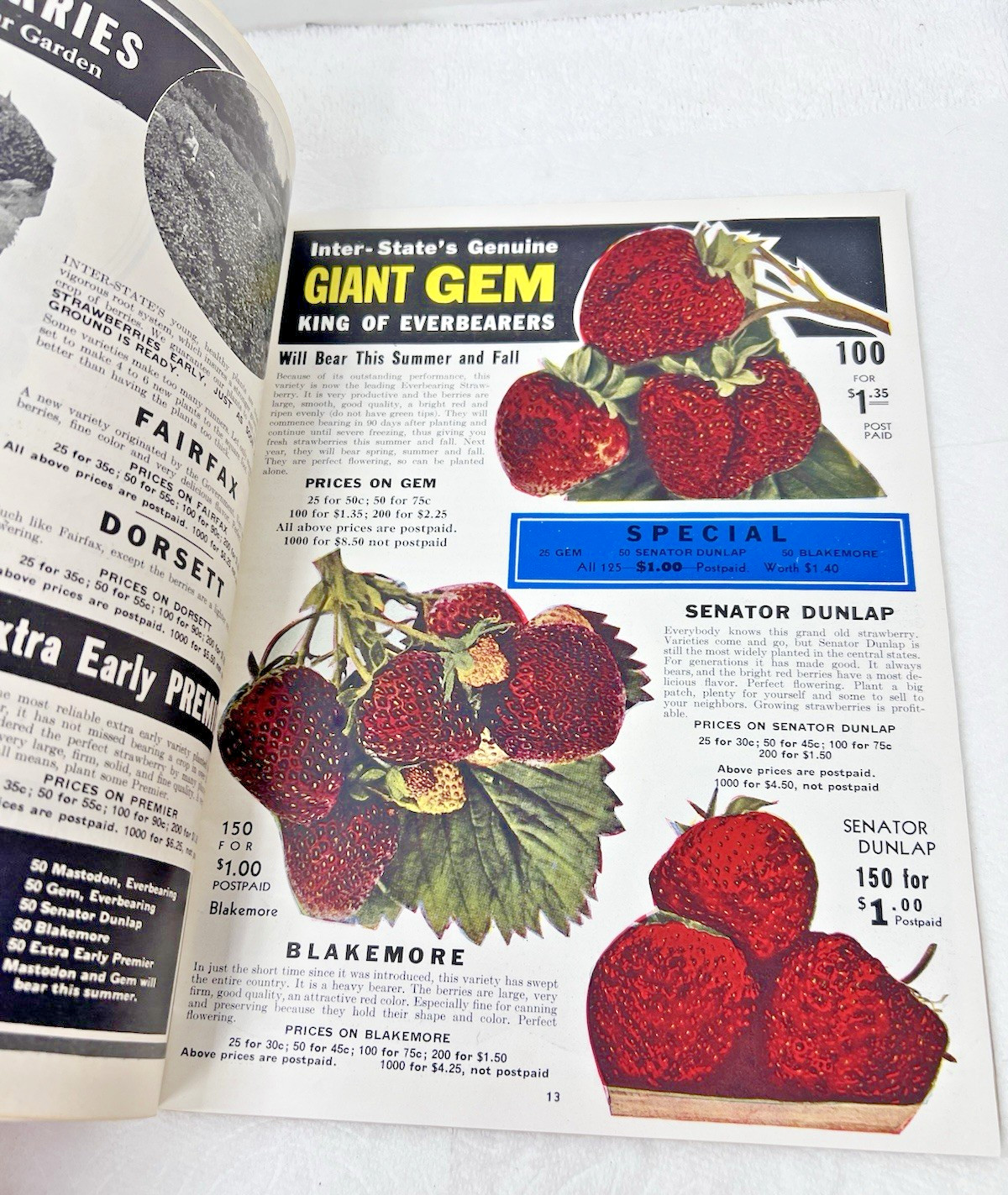 1938 Inter-State Nurseries Catalog 28 Color Pages Fruits Flowers Vegetables OHIO