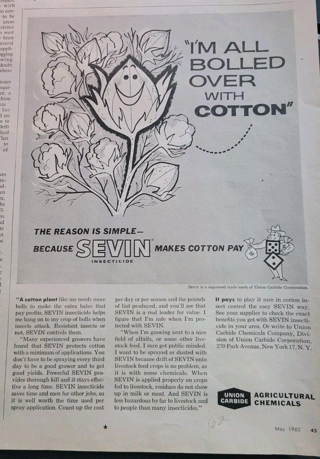 1962 Union Carbide agricultural chemicals Sevin makes cotton pay Vintage ad