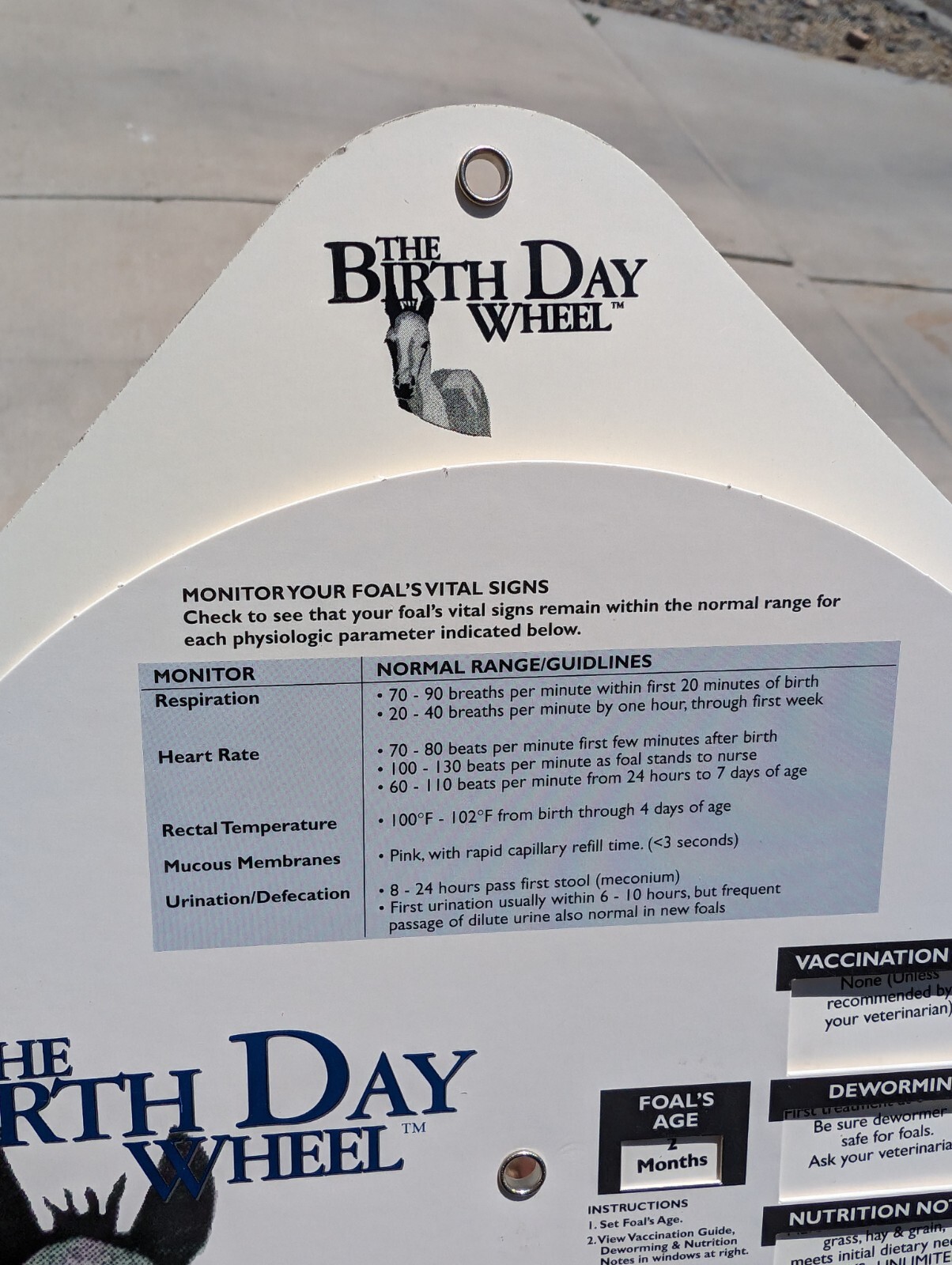 Vintage 1999 Horse Fact Spinner Double Sided The Birth Day Wheel DVM marketing
