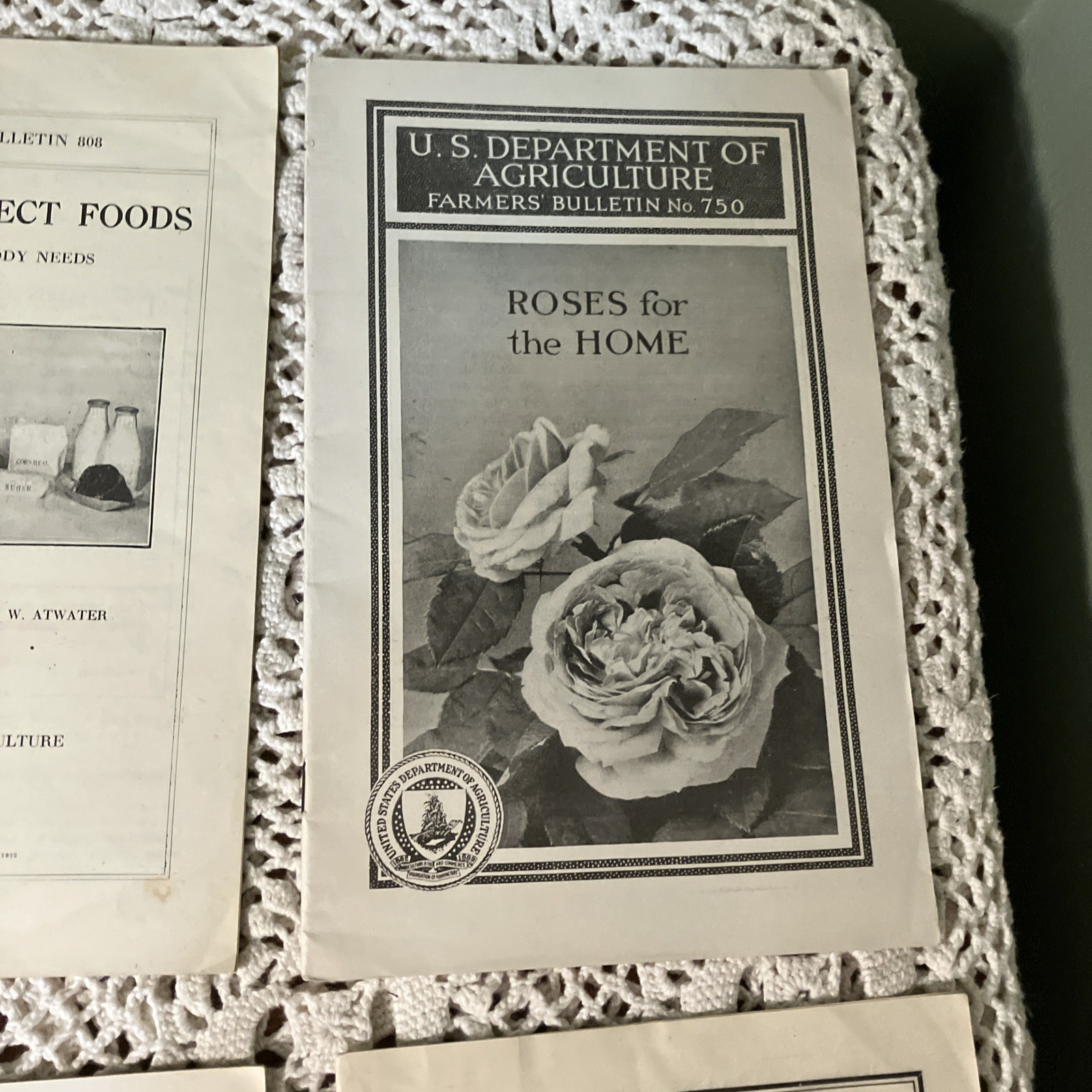 Department of Agriculture Antique 1919 & 20&rsquo;s Bulletin&rsquo;s Pamphlet&rsquo;s Lot 6-D