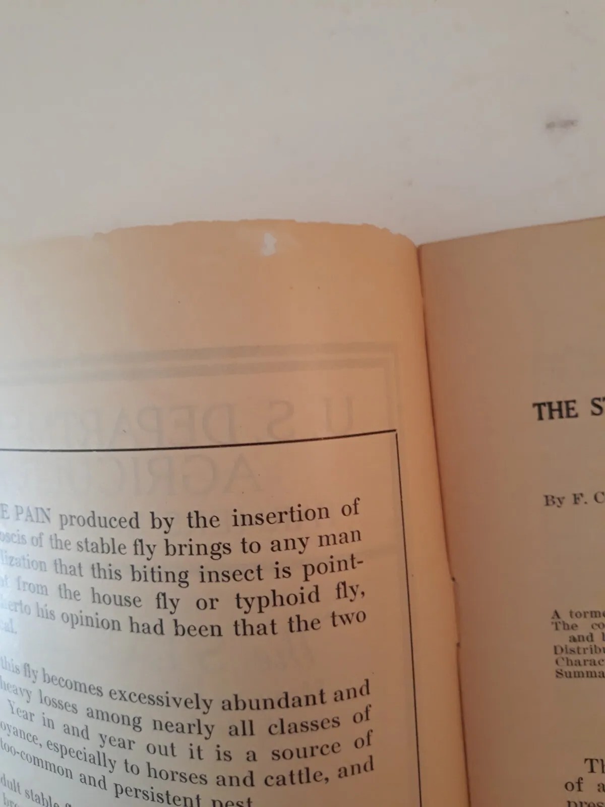 Vtg Farmers Bulletin US Dept of Agriculture No 1097 The Stable Fly Pest 1931 jj