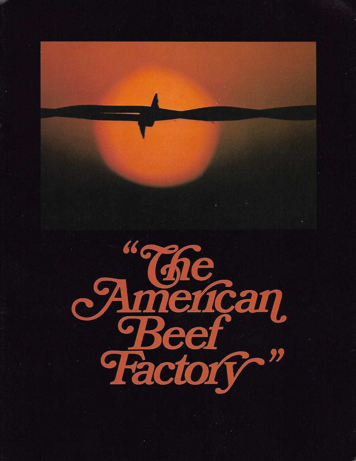 Farm Brochure – American Gelbvieh Cattle – Breed Characteristics c1970&rsquo;s (F8430)