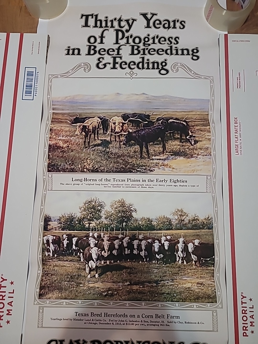 Clay,Robinson & Co Livestock Comm Ad 30yrs Beef And Breeding 18×40 Unframe Copy