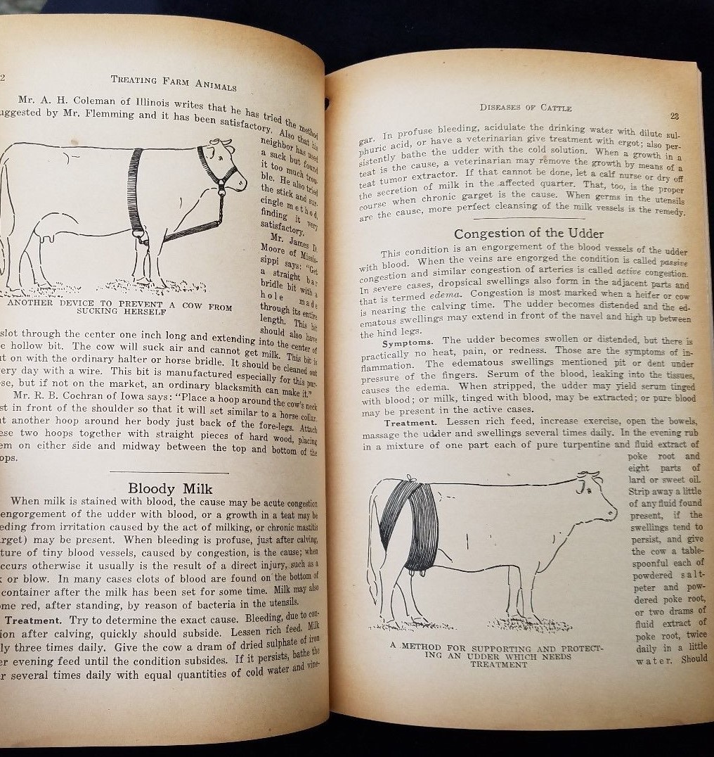 1932 How To Treat Common Ailments Farm Animals Hoard&rsquo;s Dairyman Fort Atkinson WI