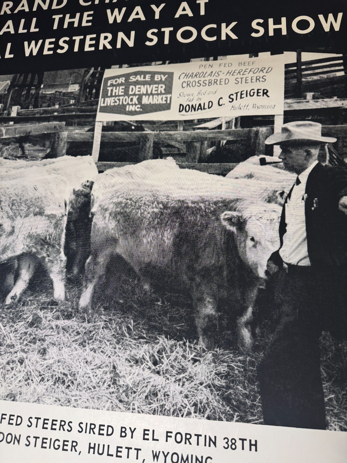 Vintage 1970 National Western Stock Show ABS American Breeders Service Ad Poster