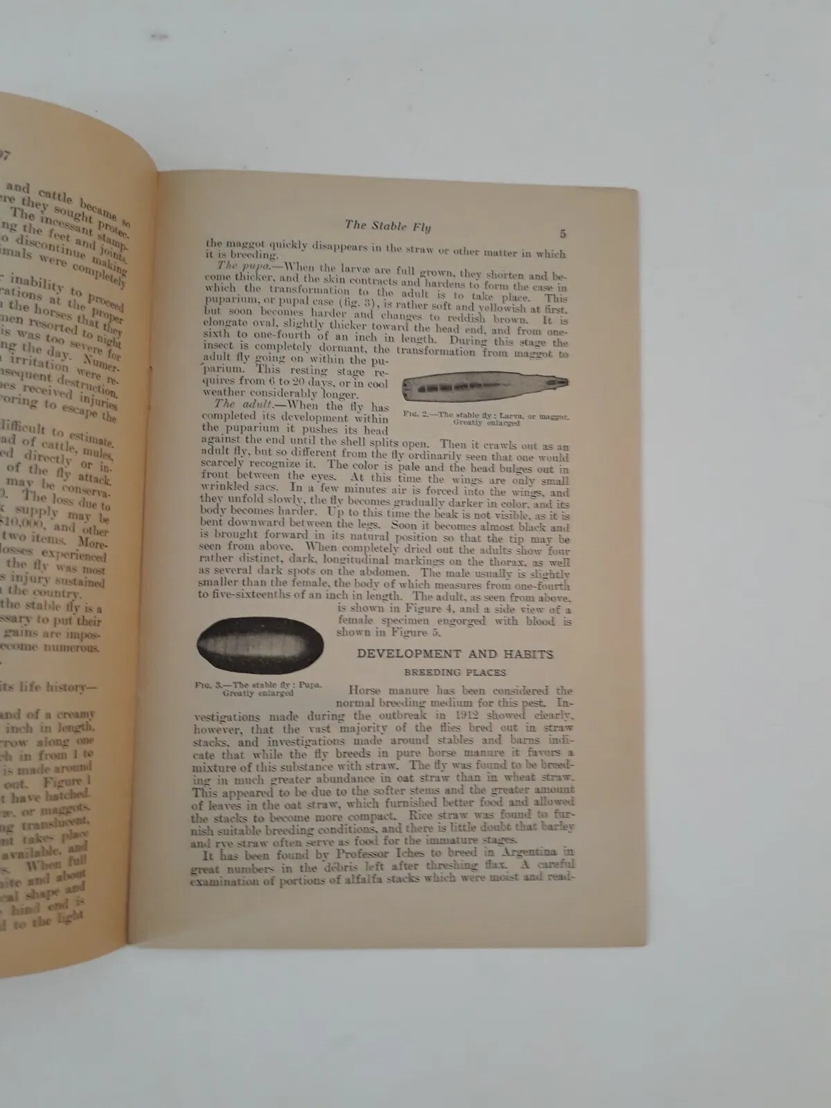 Vtg Farmers Bulletin US Dept of Agriculture No 1097 The Stable Fly Pest 1931 jj