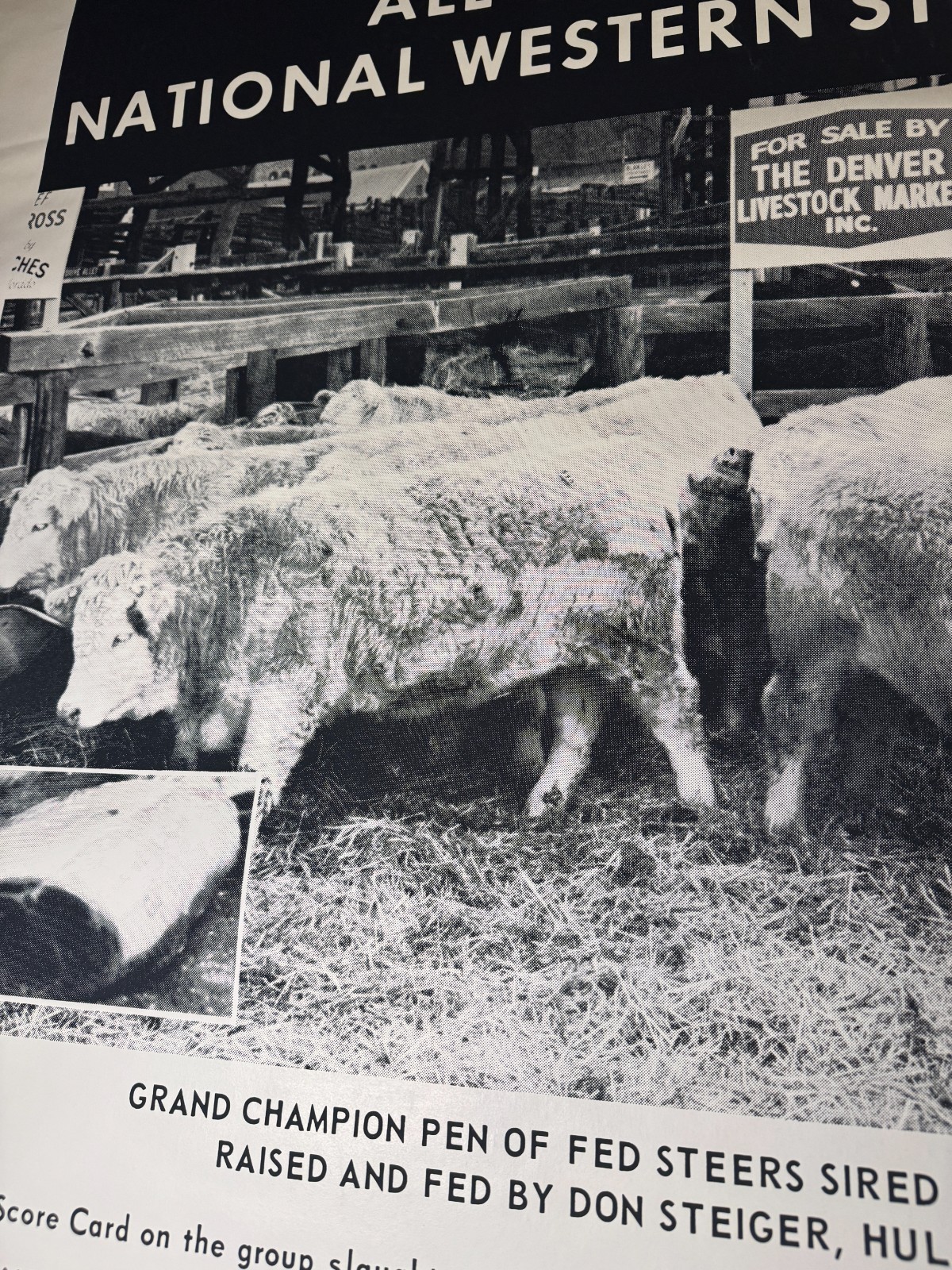 Vintage 1970 National Western Stock Show ABS American Breeders Service Ad Poster