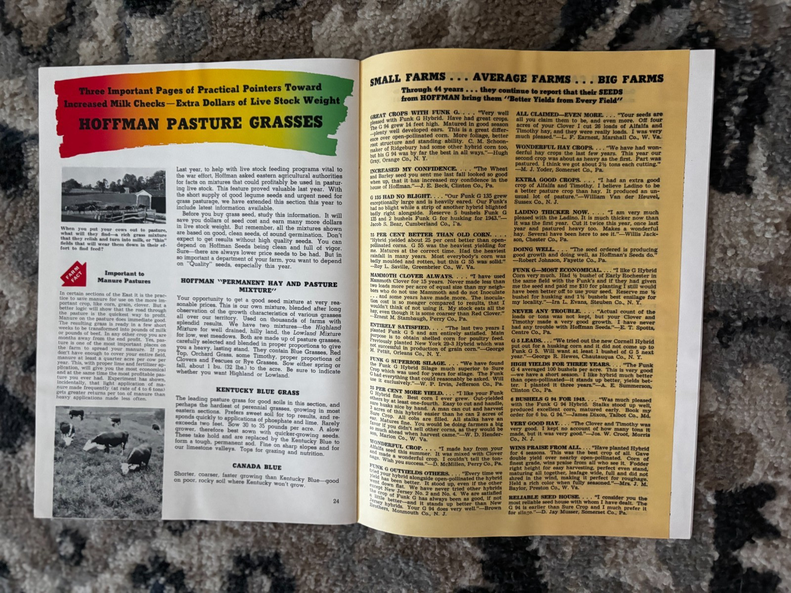 Pfister Hybrids Corn Guide For 1955 Brochure DCPA26