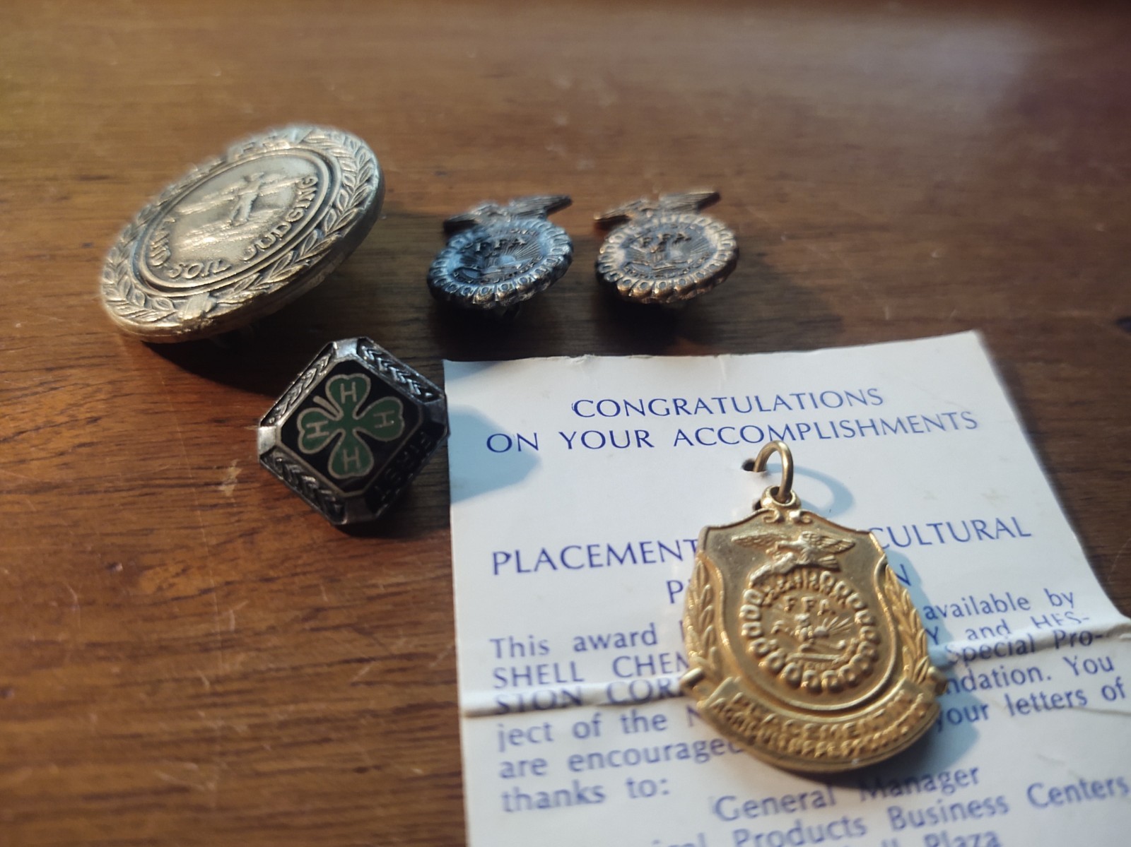 Vintage FAA Lot pins Pendant / Land Soil Judging , Shell Corp. 4H