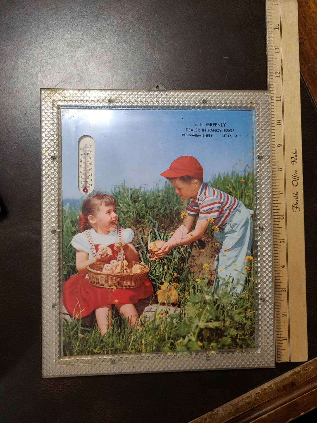 Vntg 1950s Agricultural Thermometer Advertisement E.L. Greenly Eggs Lititz Pa