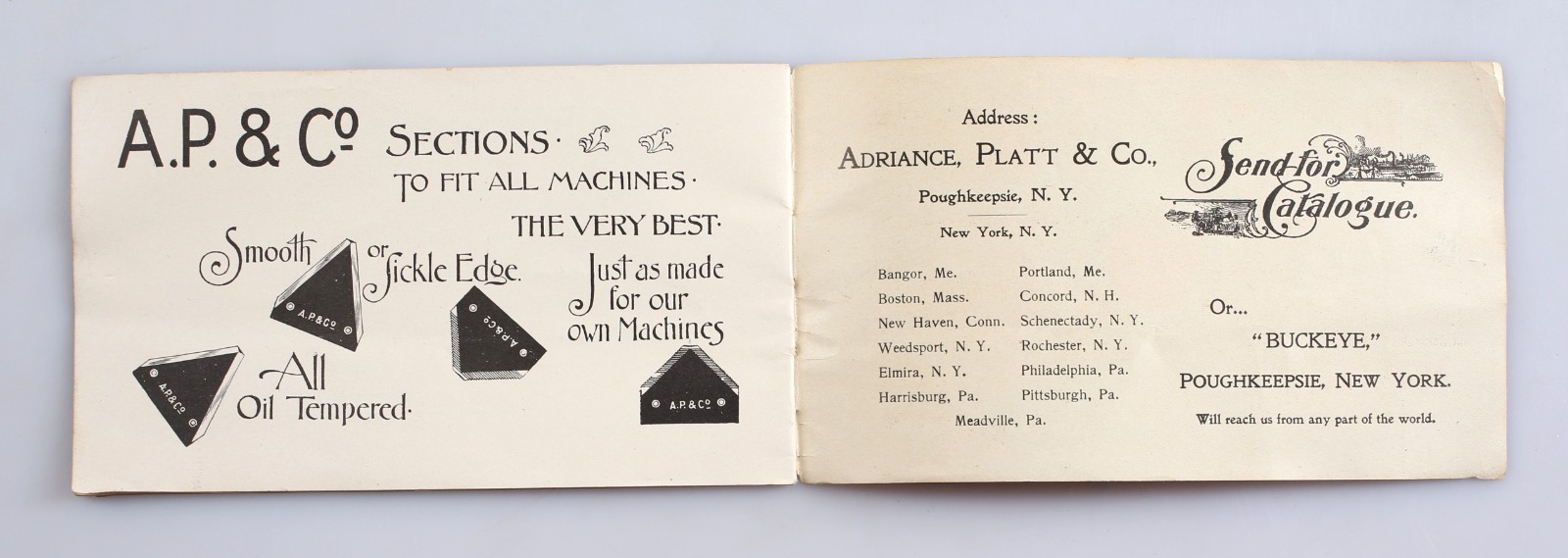Rare Vintage Andriance Buckeye Mowers Catalog & Weather Indications Guide 1900s