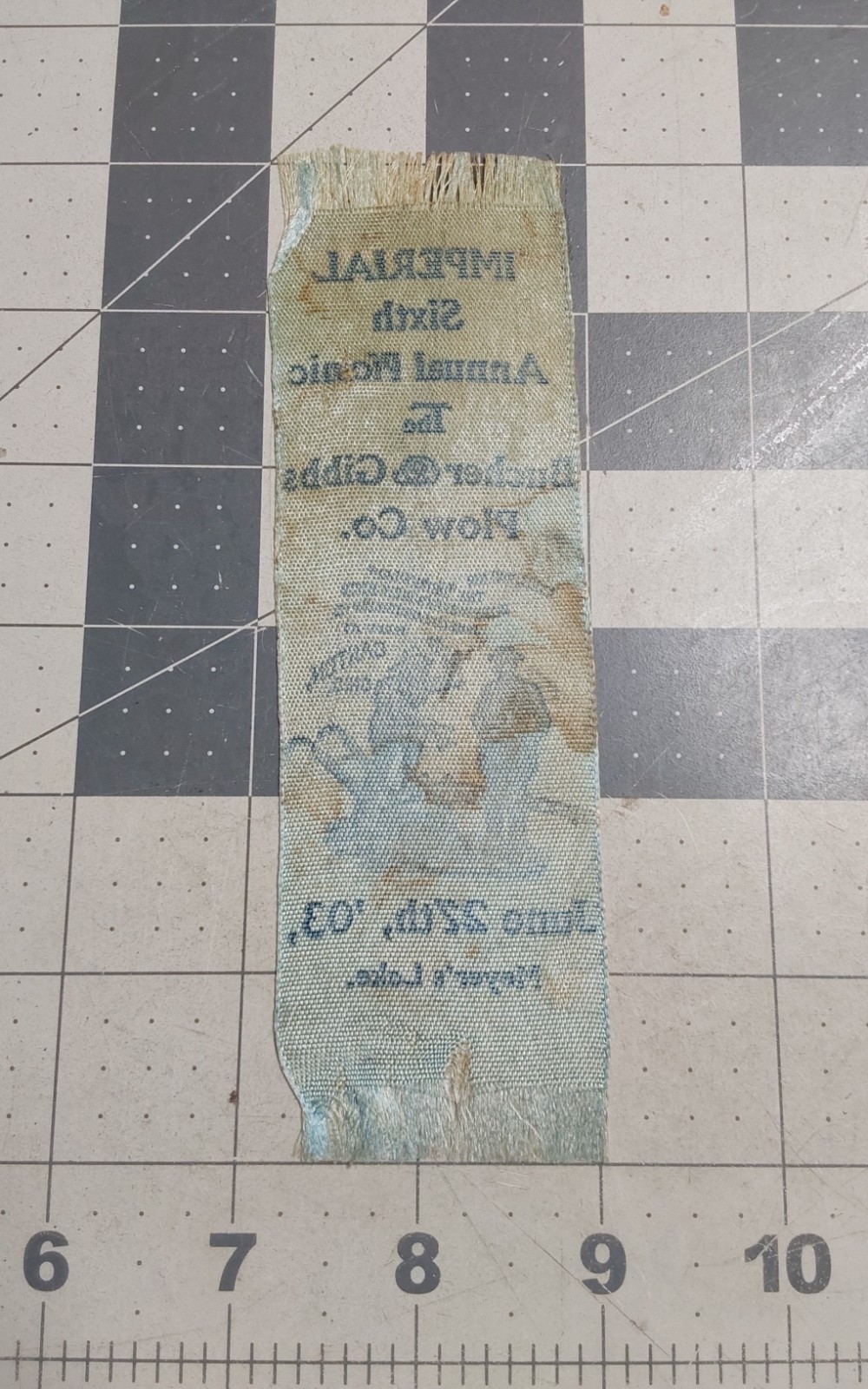 1903 Bucher & Gibbs Plow Co Imperial 6th Annual Picnic Ribbon