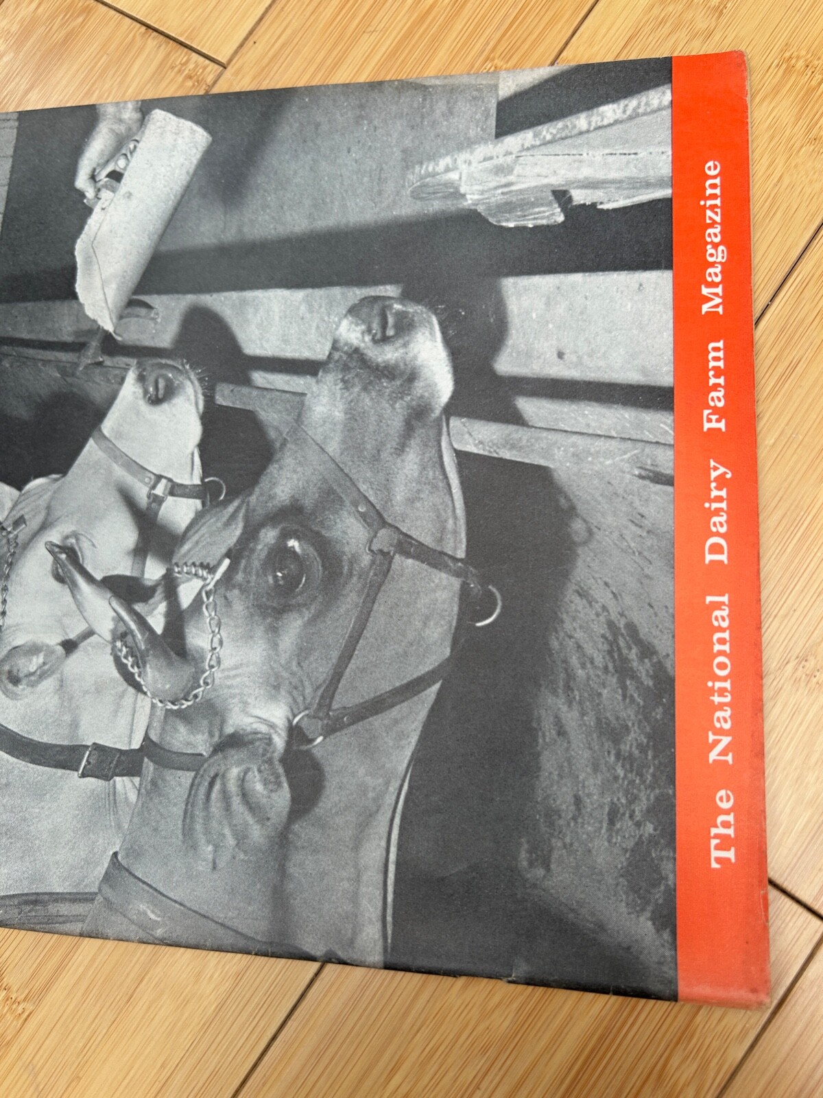 DEC 10 1962 HOARD&rsquo;S DAIRYMAN DAIRY FARM MAGAZINE OCCO MINERAL FEEDS