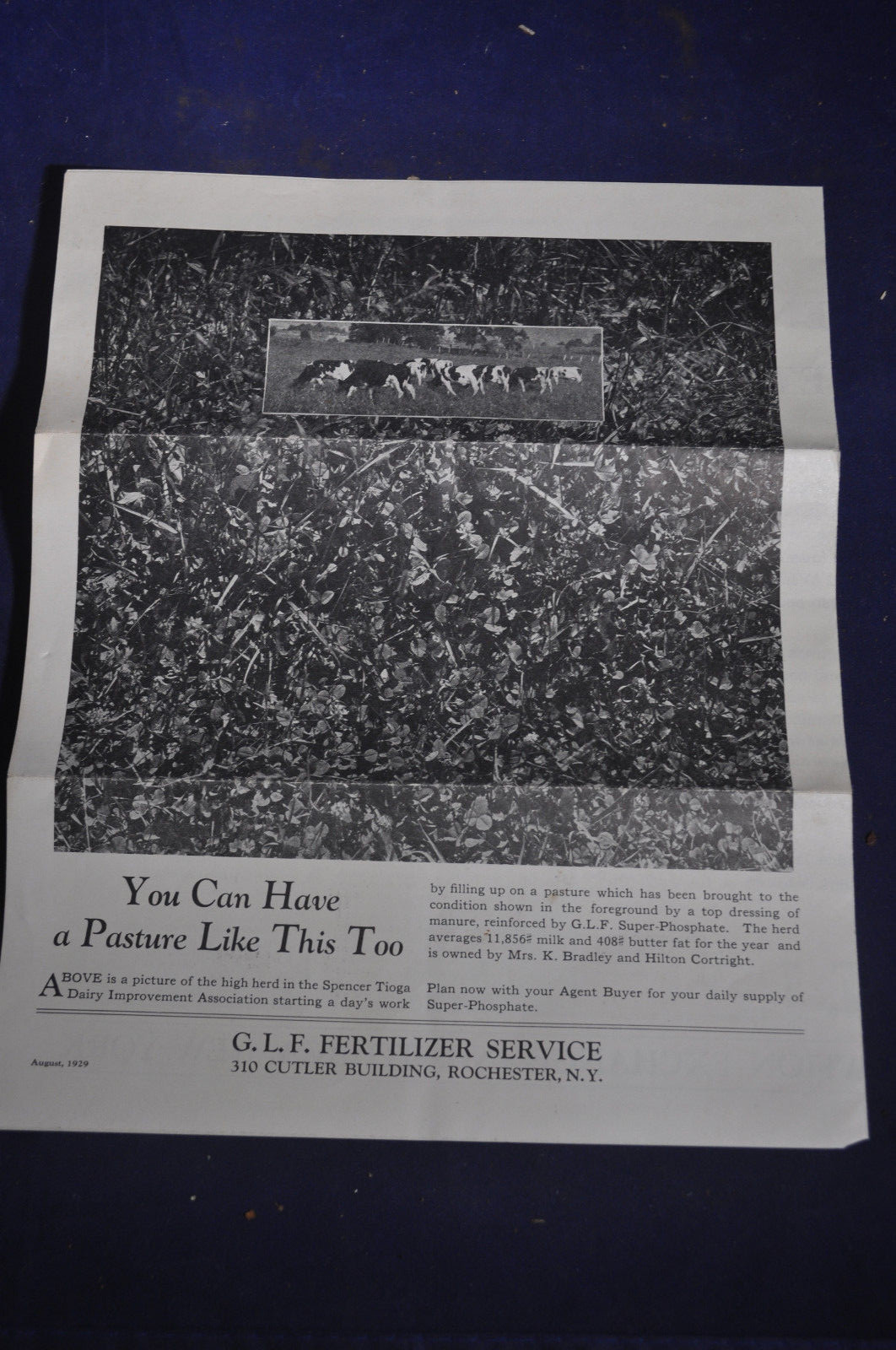 1929 Grange League Federation [Ithaca, NY] Feed & Fertilizer Brochure