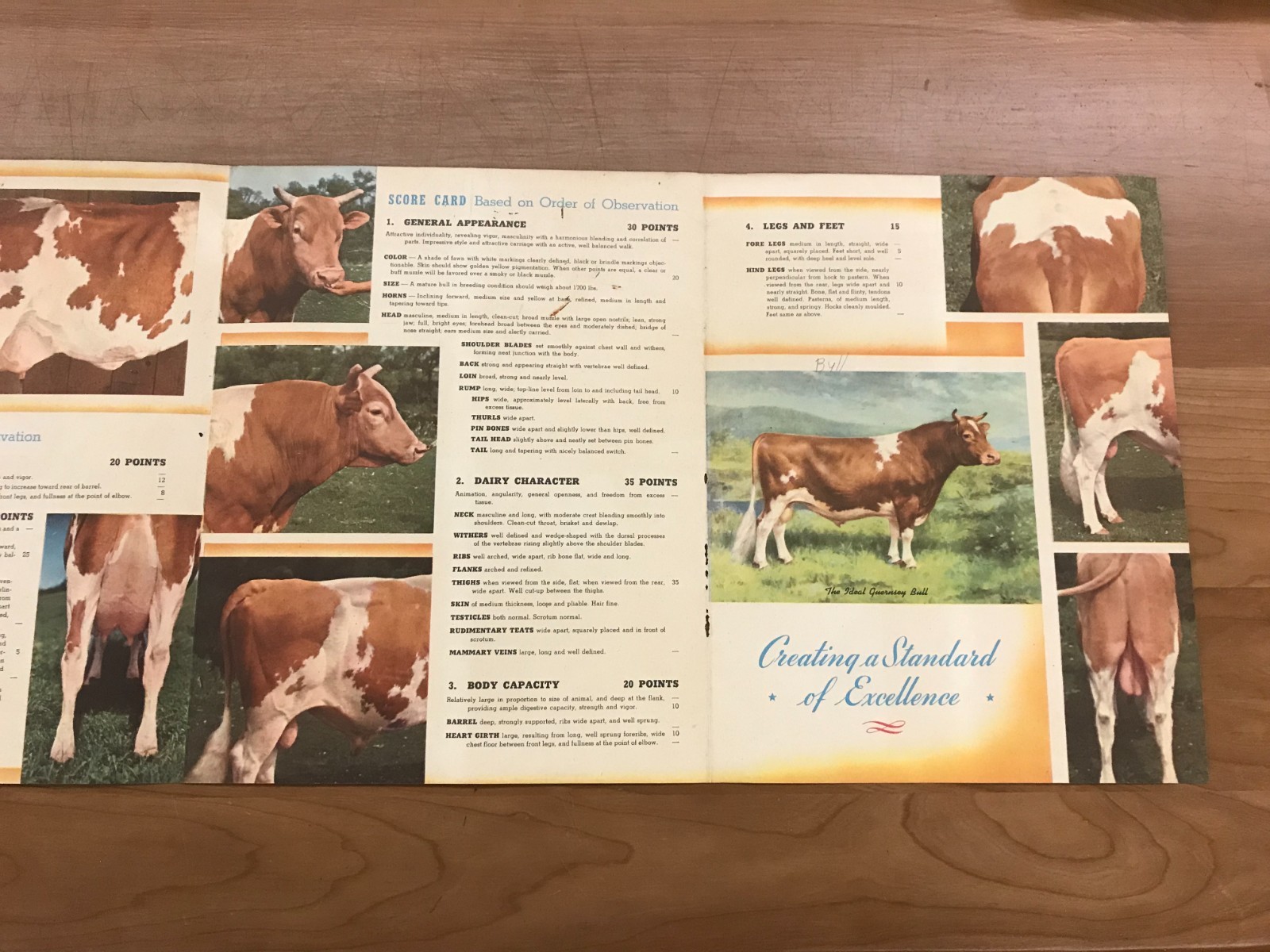 Vintage Guernsey – Creating a Standard of Excellence Brochure