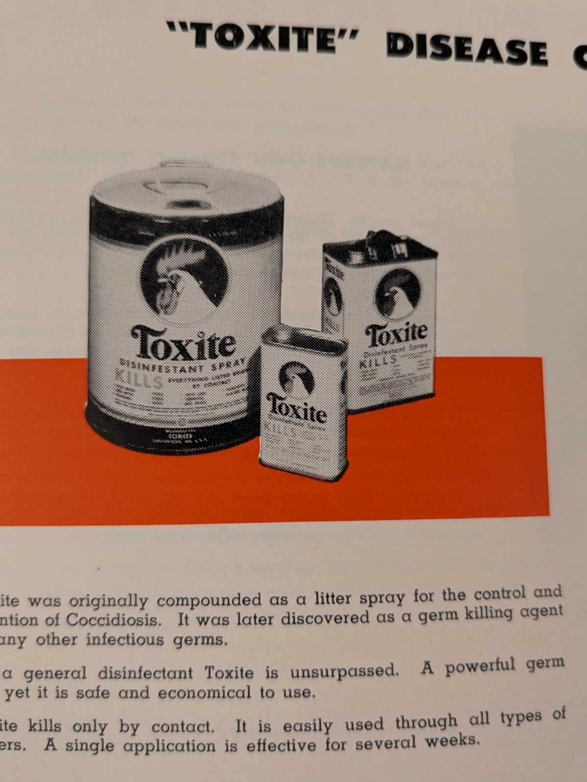 C1940-50s – American Excelsior Corp St Louis Mo Poultry Catalogue – B15