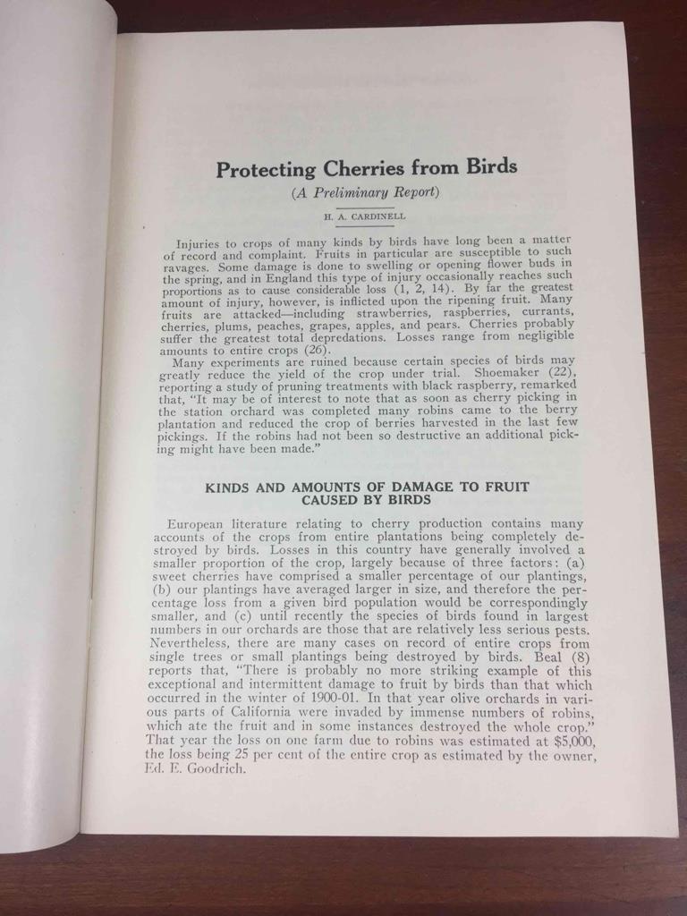 Vintage 1937 MSU Michigan State College Protecting Cherries from Birds 22 pgs