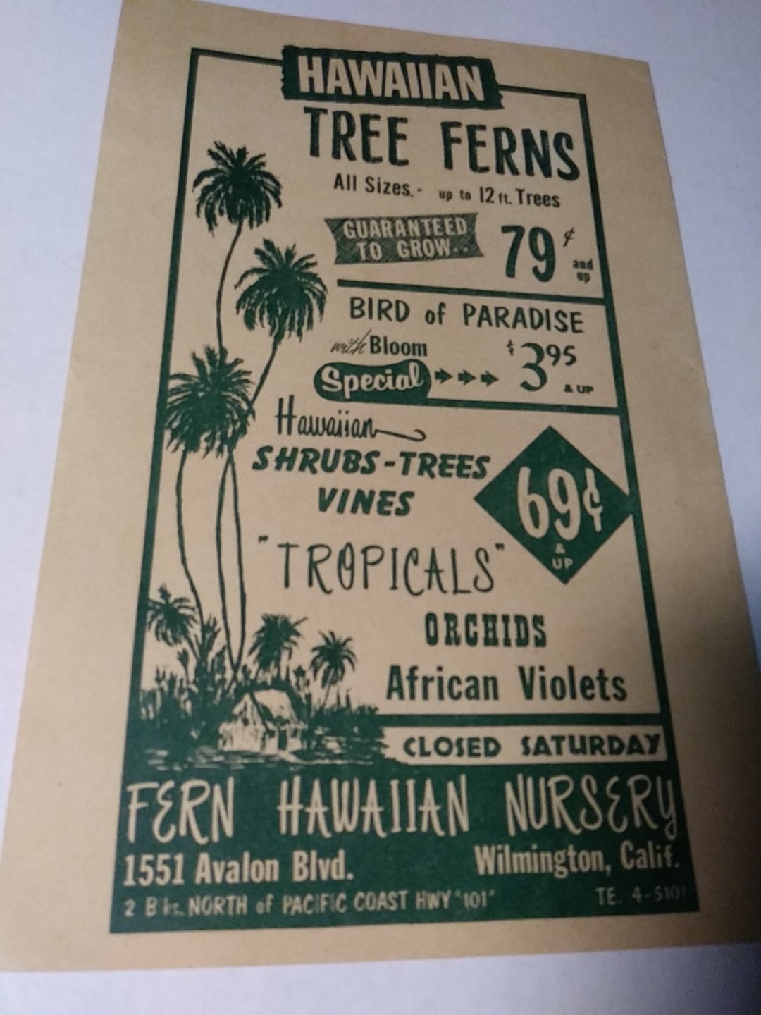 1955 Fern Hawaiian Nursery « Plants-For Every Home&Every Garden » Print Ad
