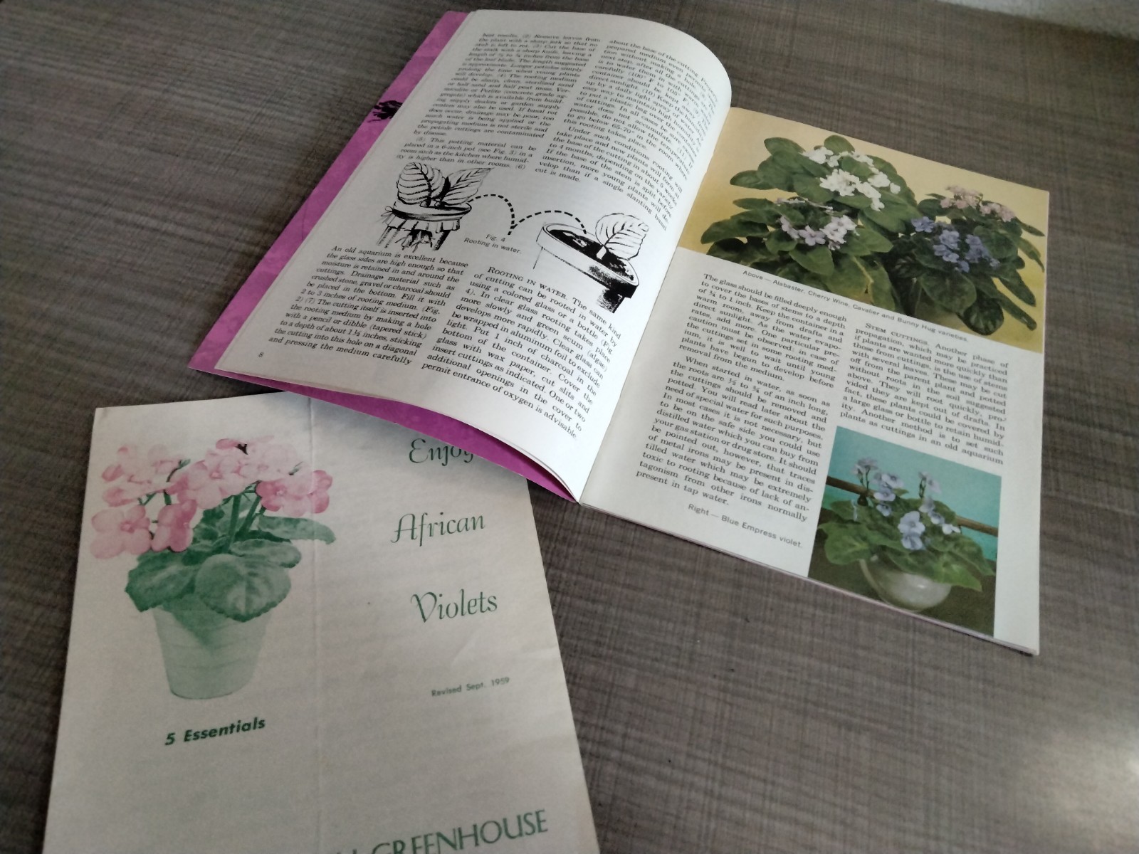 Vtg. 1939 Empire State Nursery Co. Fruits & Flowers Booklet + 2 African Violets
