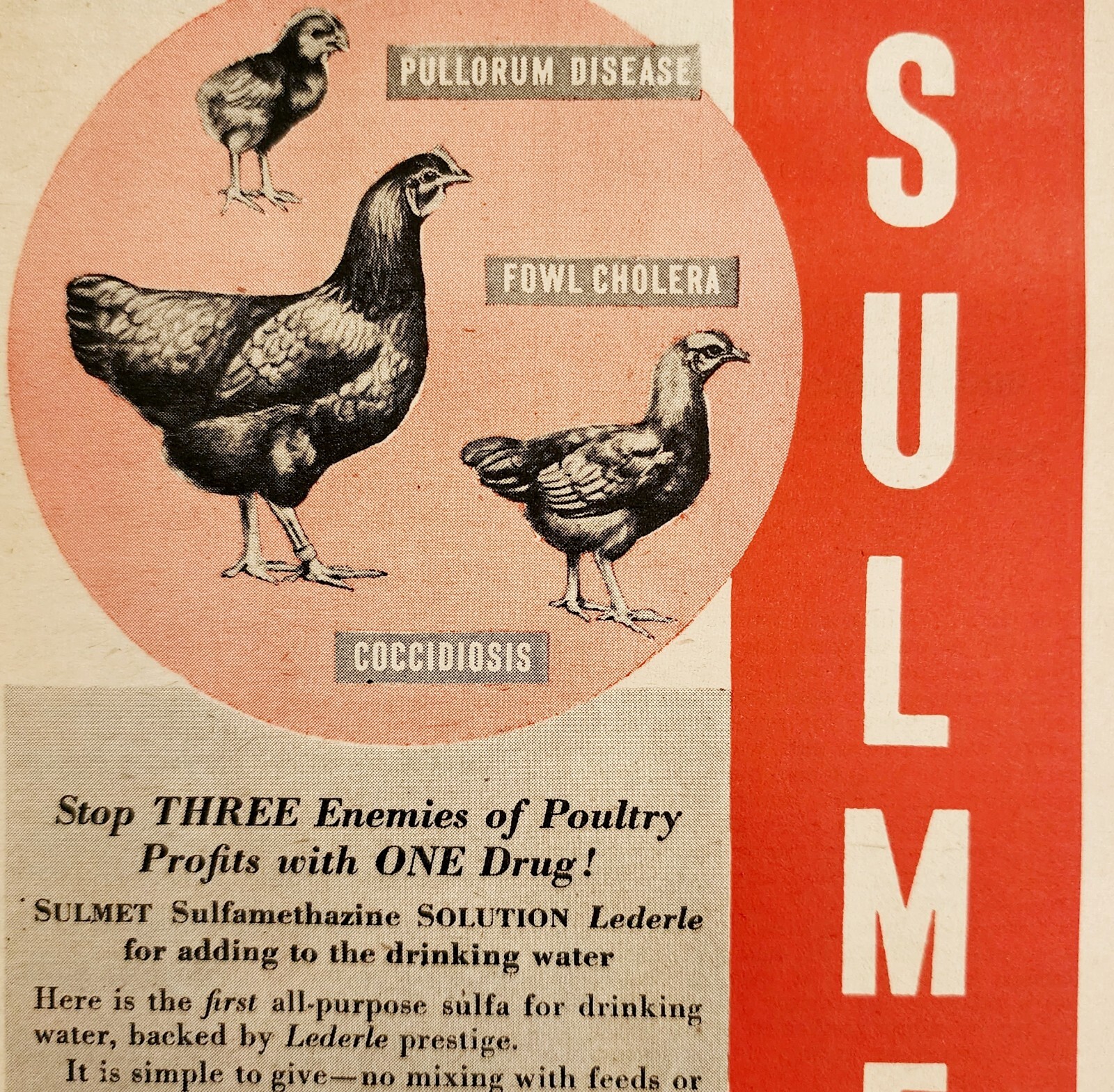 1947 Lederle Laboratories Sulmet Advertisement Farming Agriculture DWNN18