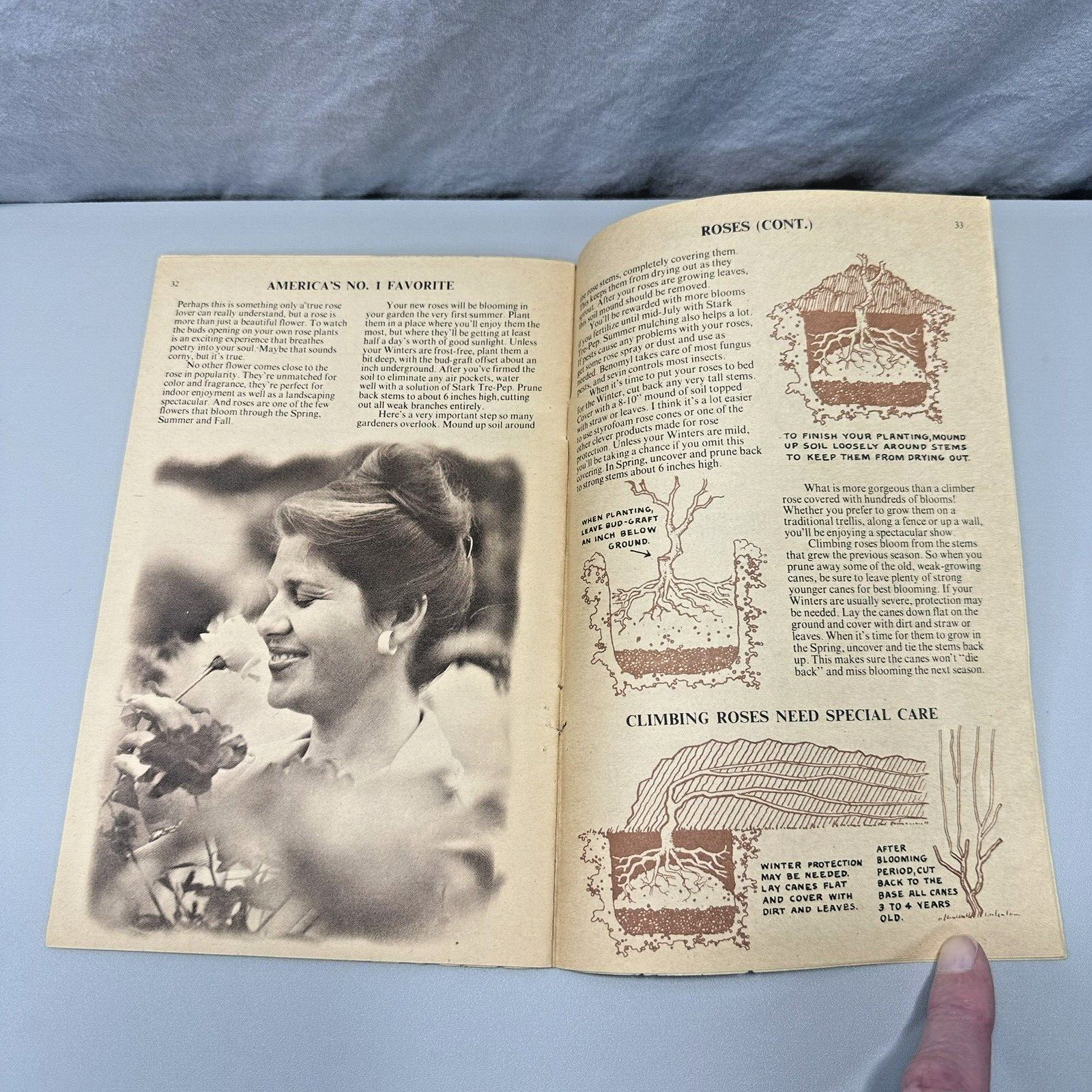 1974 Paul Stark Guide To Successful Planting Growing Vintage Gardening Booklet