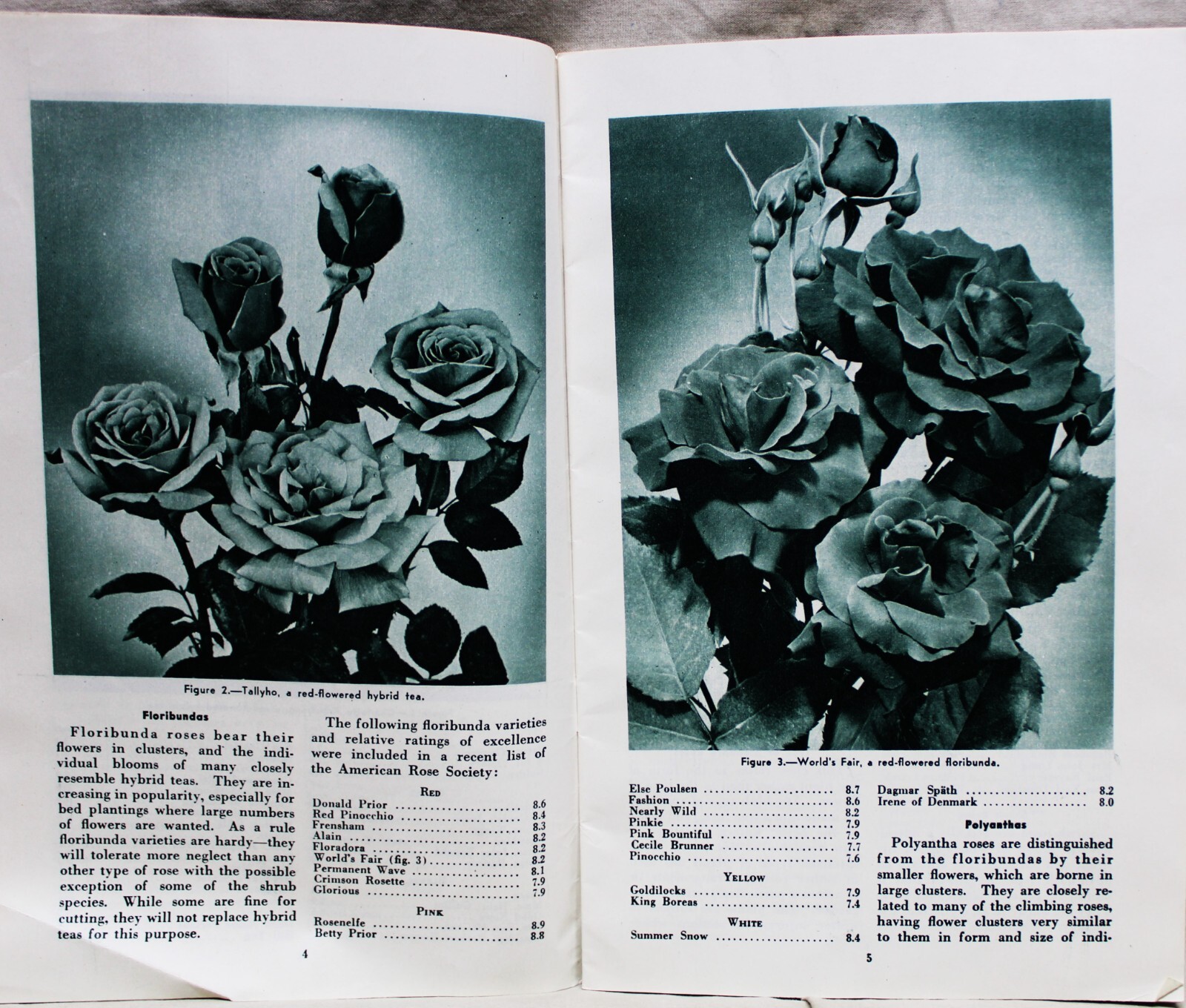 U.S. DEPARTMENT OF AGRICULTURE ROSES FOR THE HOME BROCHURE GUIDE 1953 VINTAGE