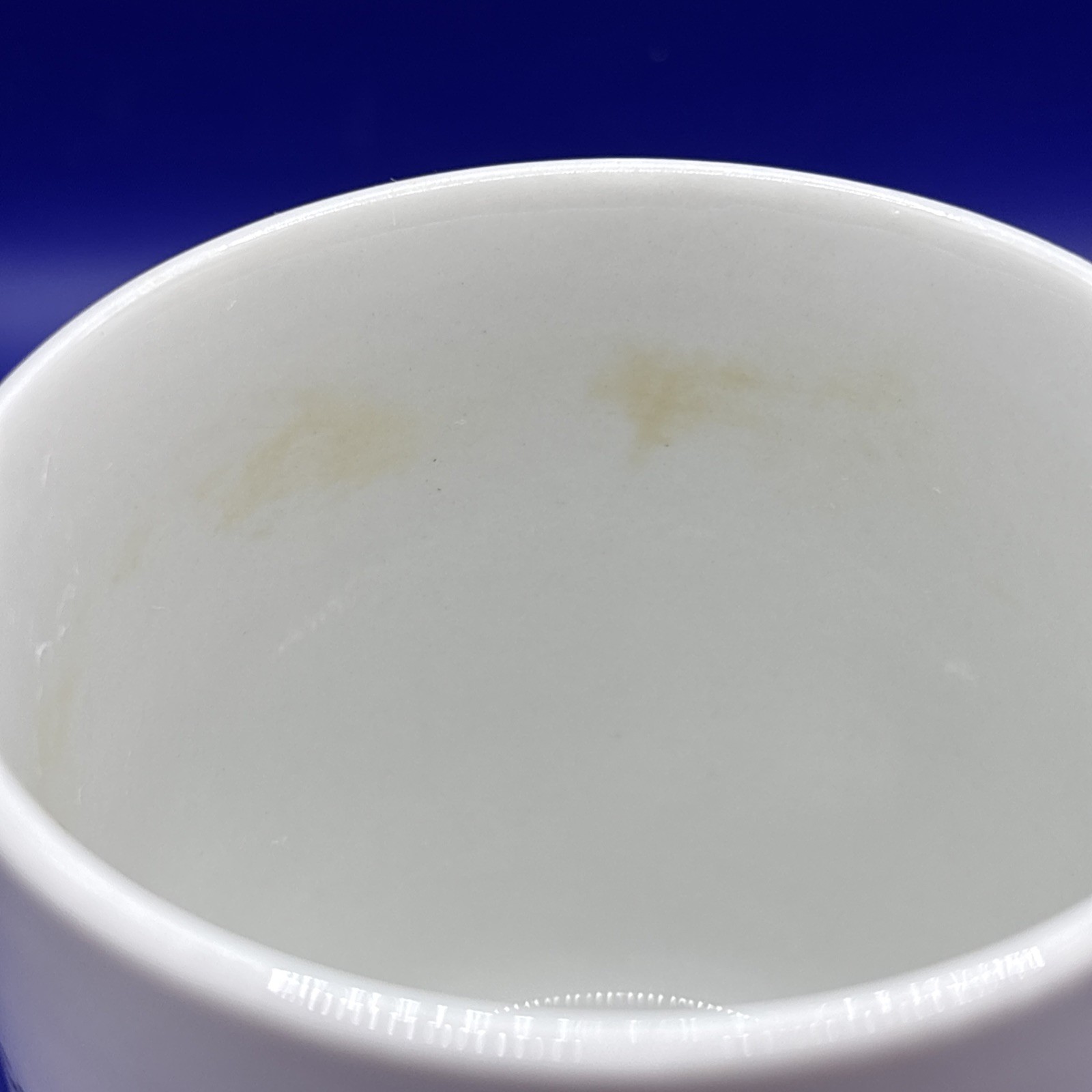 CASE Power and Equipment Promotional White Ceramic 10-ounce Coffee Mug- Michigan