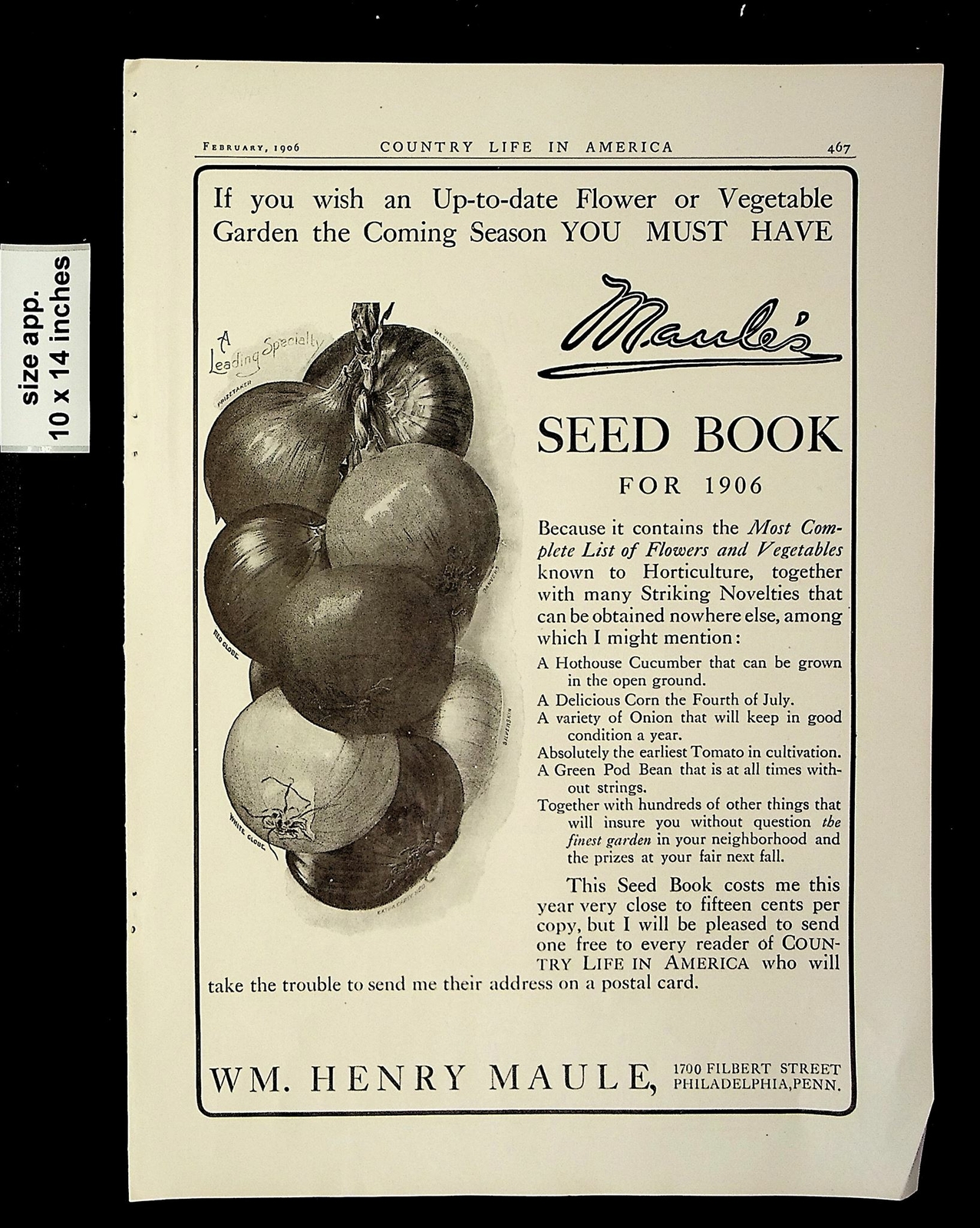 1906 Seed Book WM Henry Maule Vintage Print Ad 19469